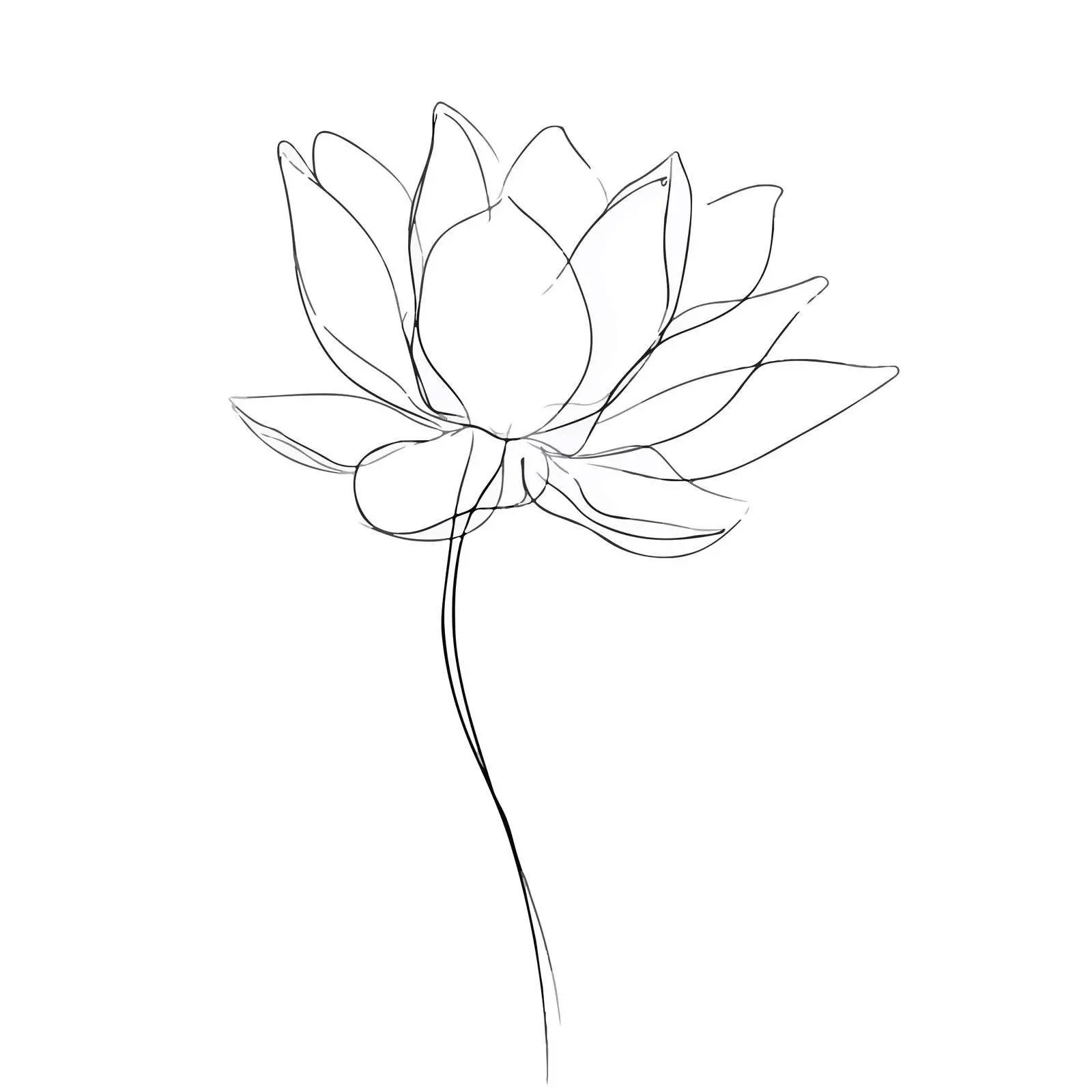 Lotus Flower Line Art Illustration — free download from Dotvec