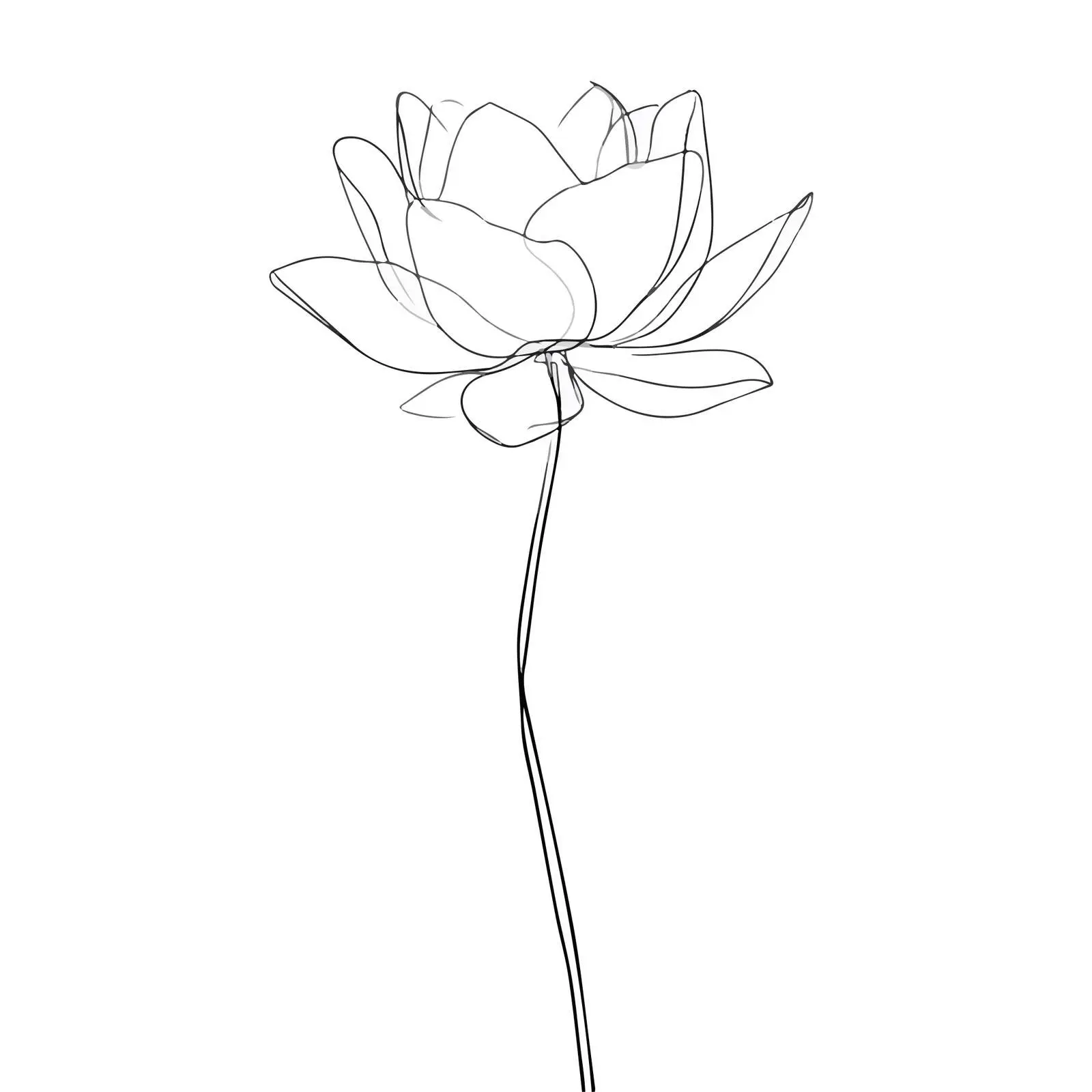Minimal Lotus Flower Line Art — free download from Dotvec