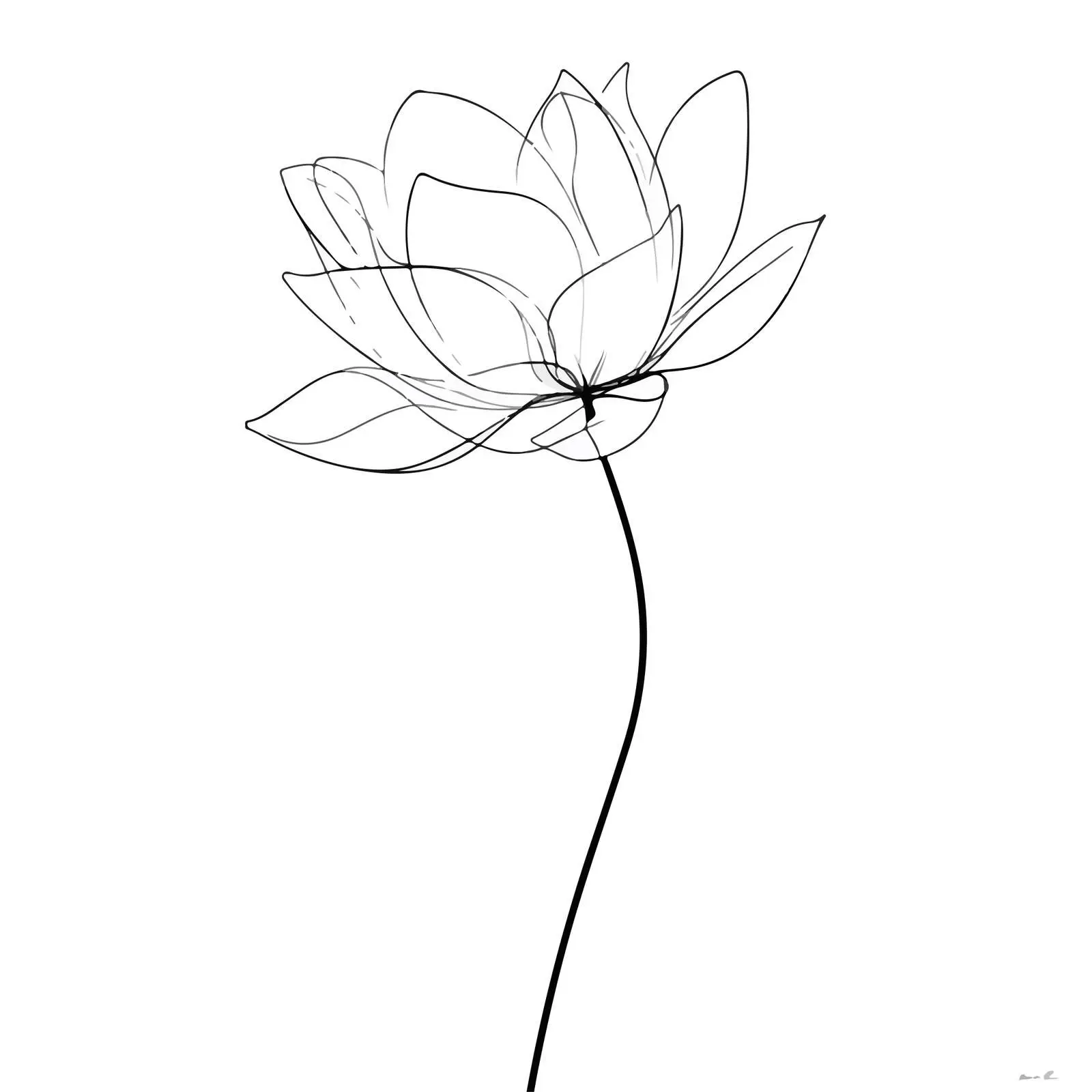 Minimal Lotus Flower Line Art — free download from Dotvec