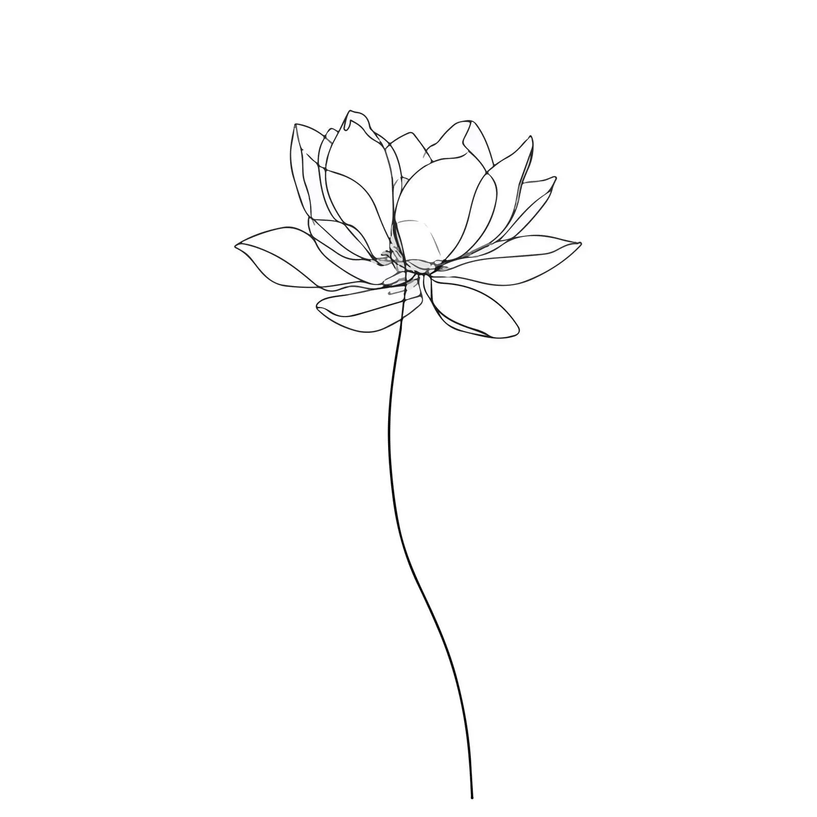 Minimal Lotus Flower Line Art — free download from Dotvec