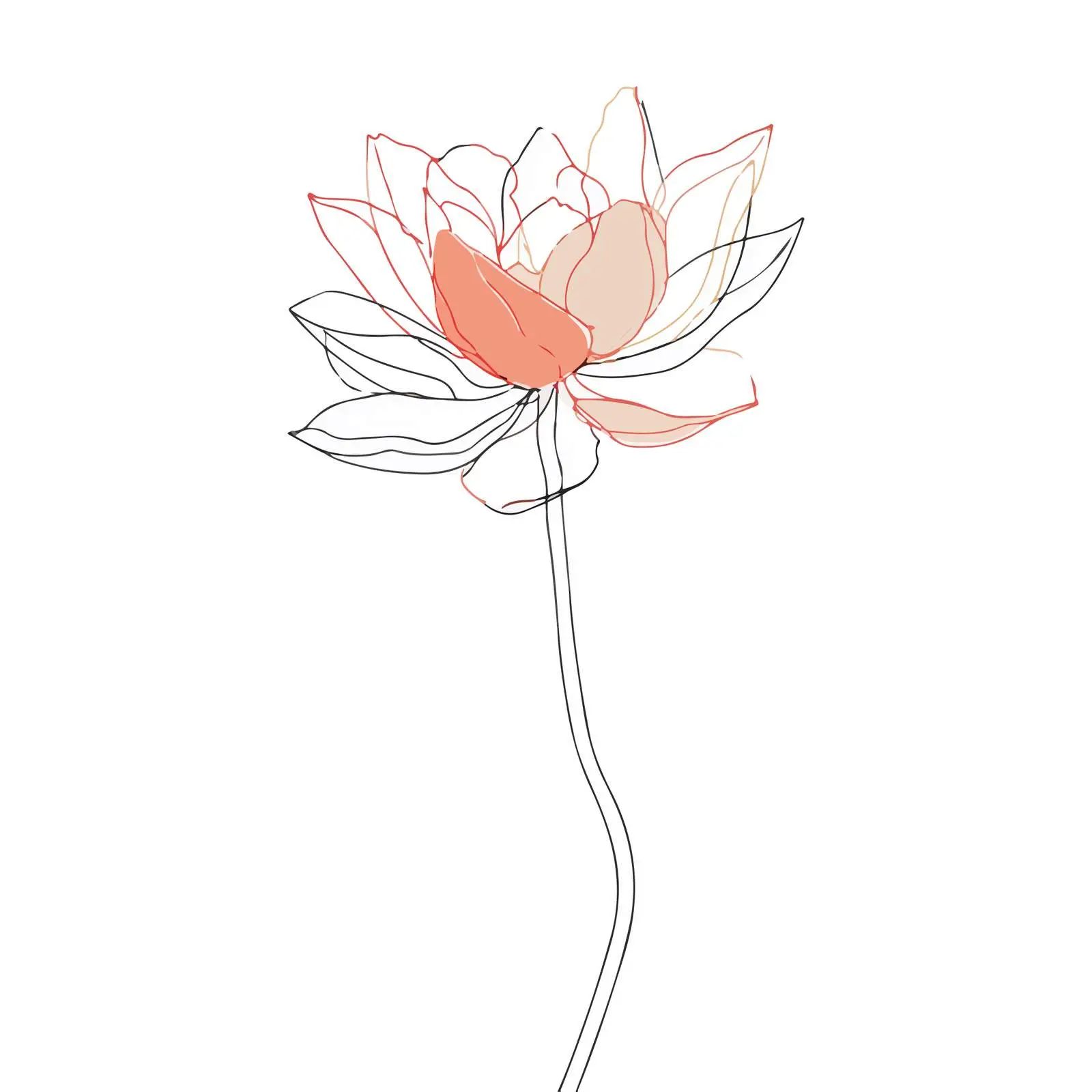 Lotus Flower Line Art — free download from Dotvec