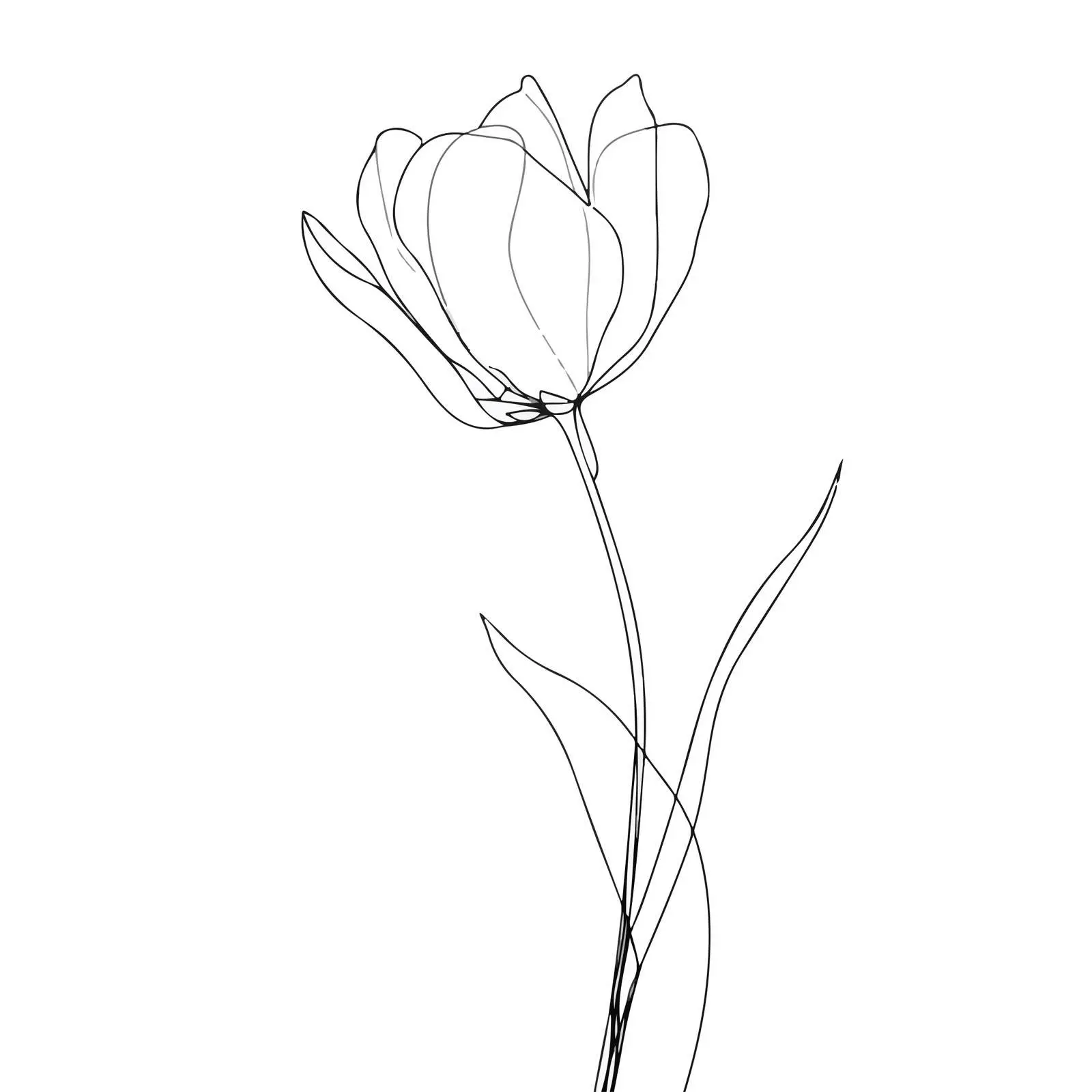Minimal Tulip Line Art — free download from Dotvec
