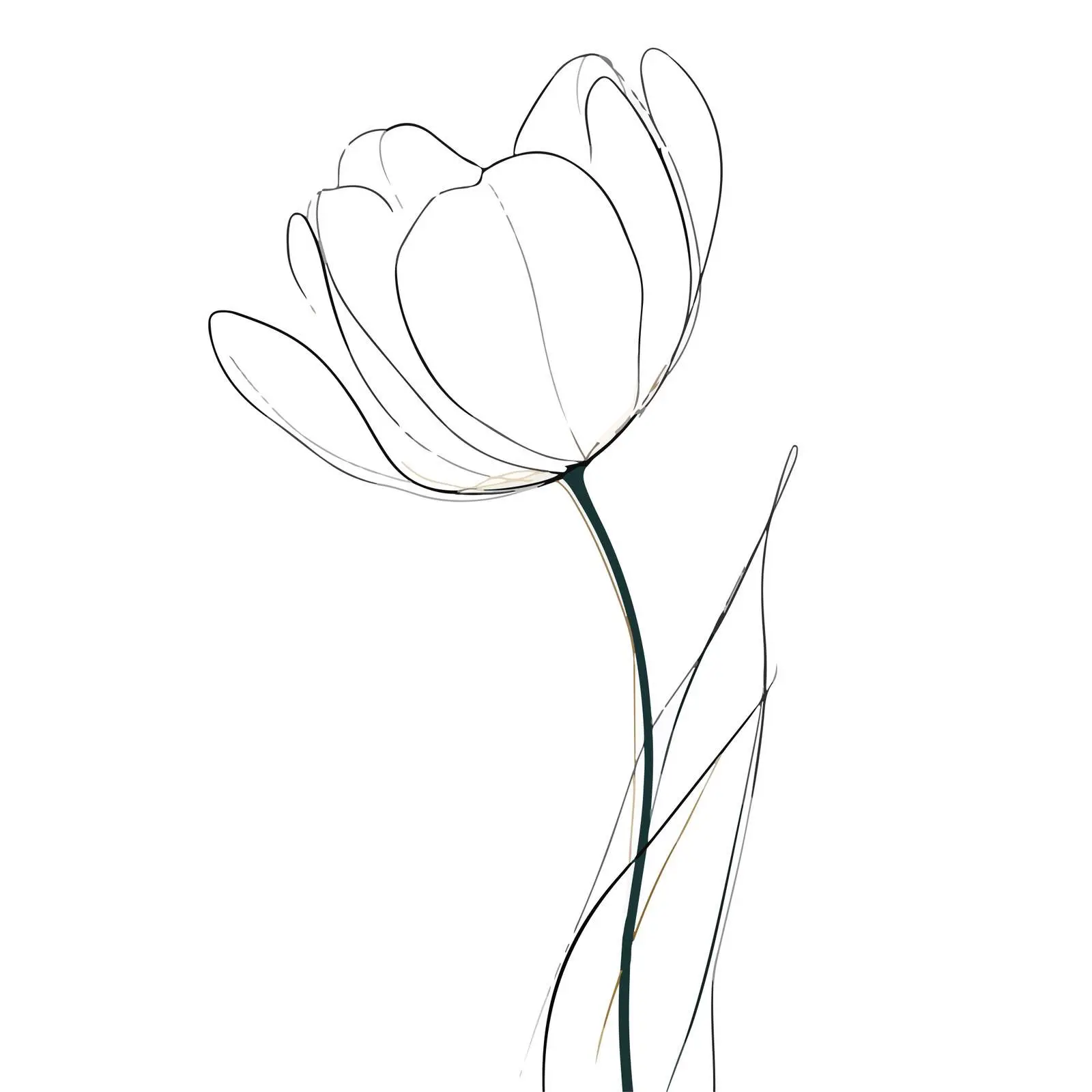 Minimal Tulip Line Art — free download from Dotvec