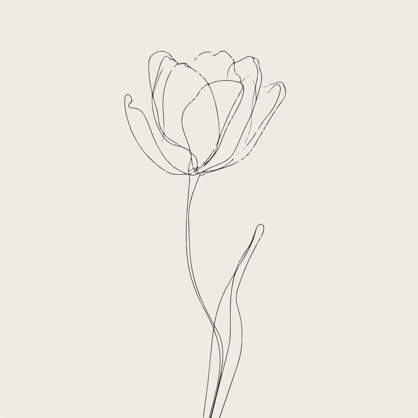 Minimal Tulip Line Art — free download from Dotvec