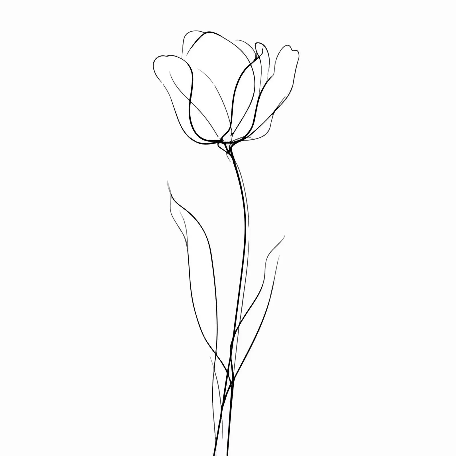 Minimal Tulip Continuous Line Art — free download from Dotvec