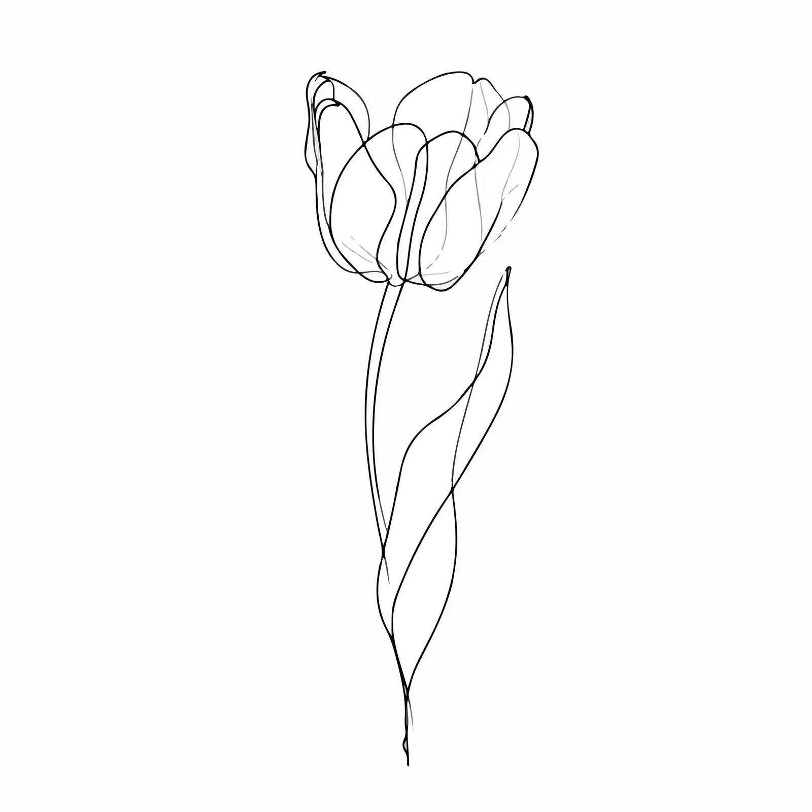 Elegant Minimal Tulip Line Art — free download from Dotvec