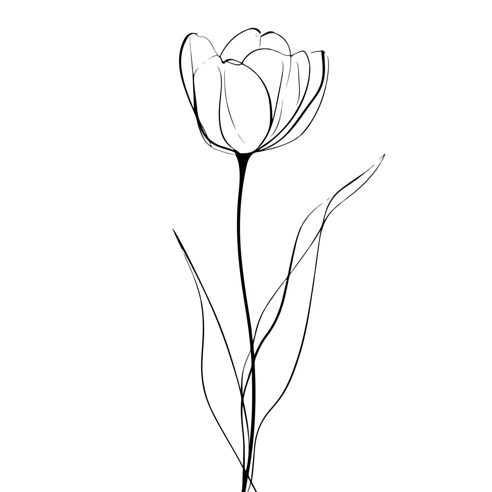 Minimal Tulip Line Art Illustration — free download from Dotvec