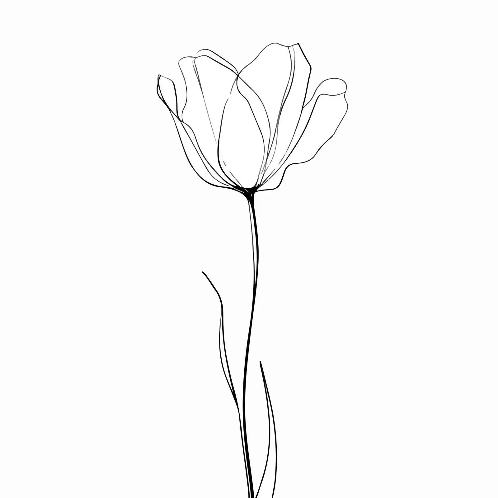 Minimal Tulip Line Art Illustration — free download from Dotvec