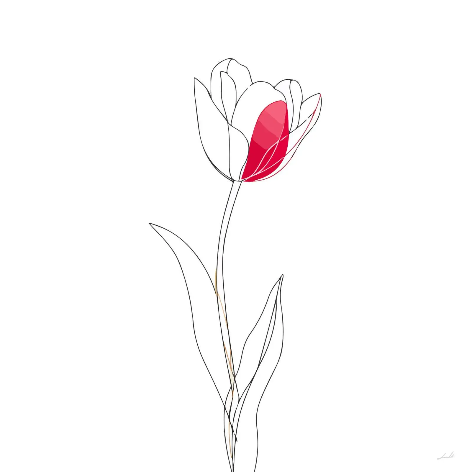 Minimal Tulip Line Art — free download from Dotvec