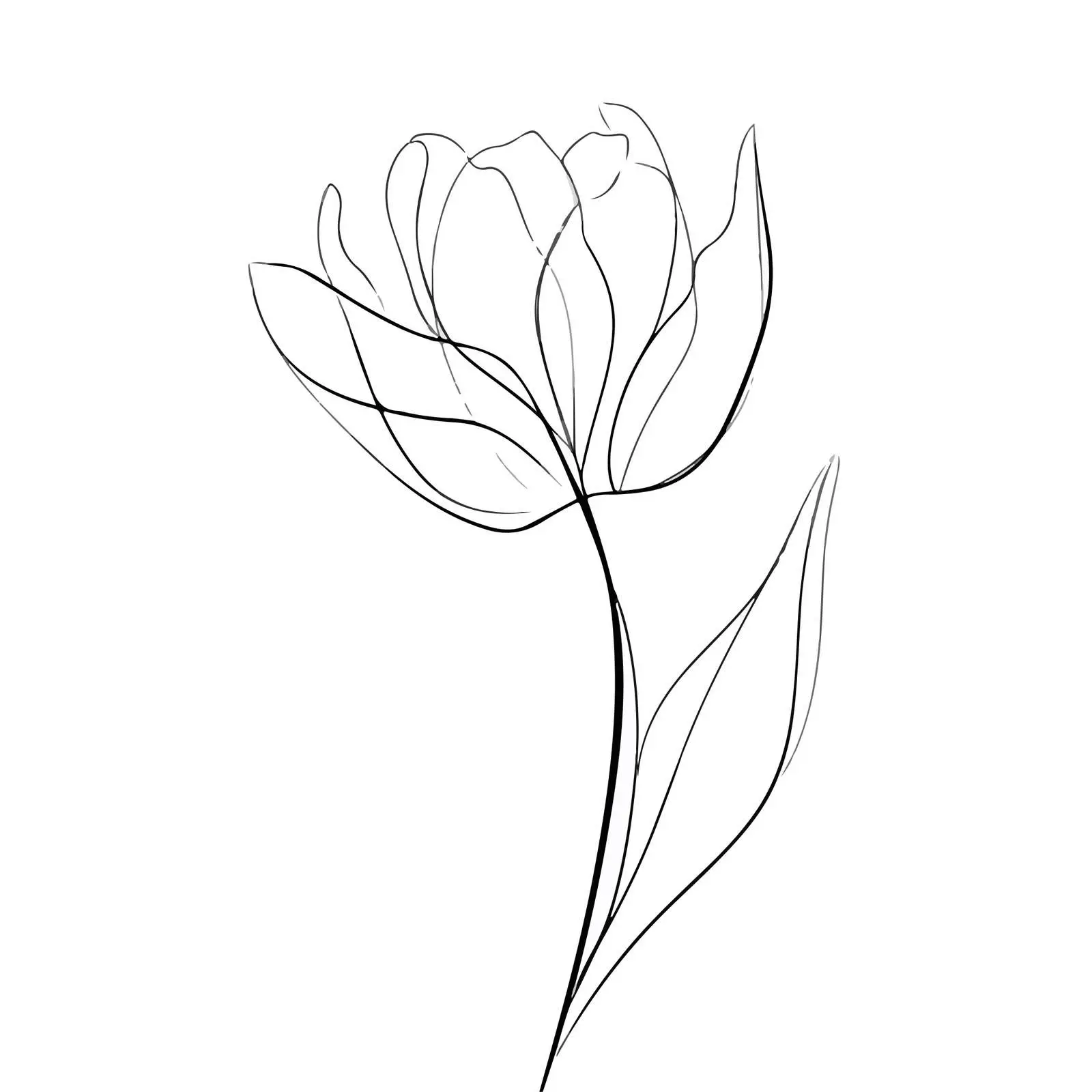 Minimal Tulip Line Art Illustration — free download from Dotvec