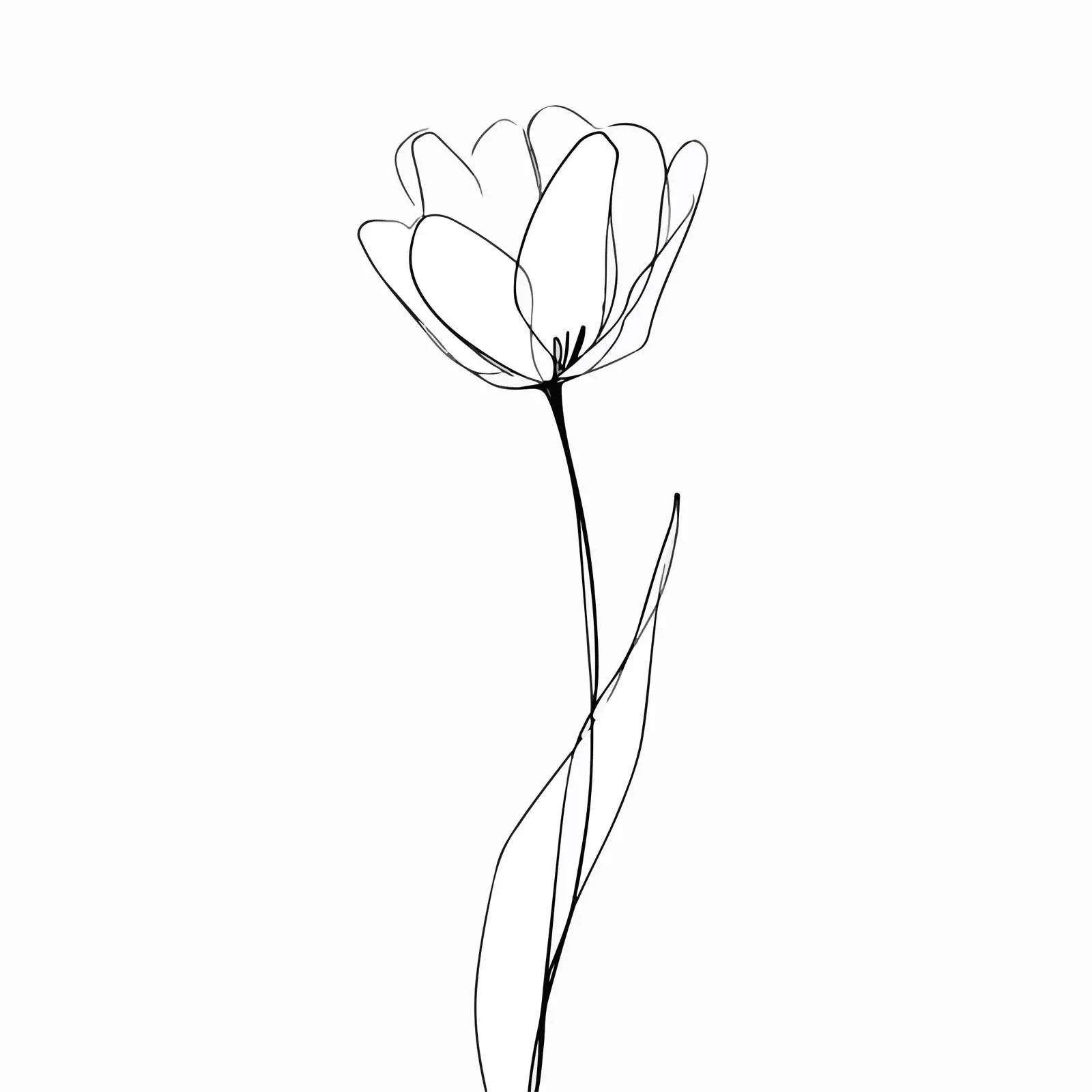 Minimal Tulip Line Art Illustration — free download from Dotvec