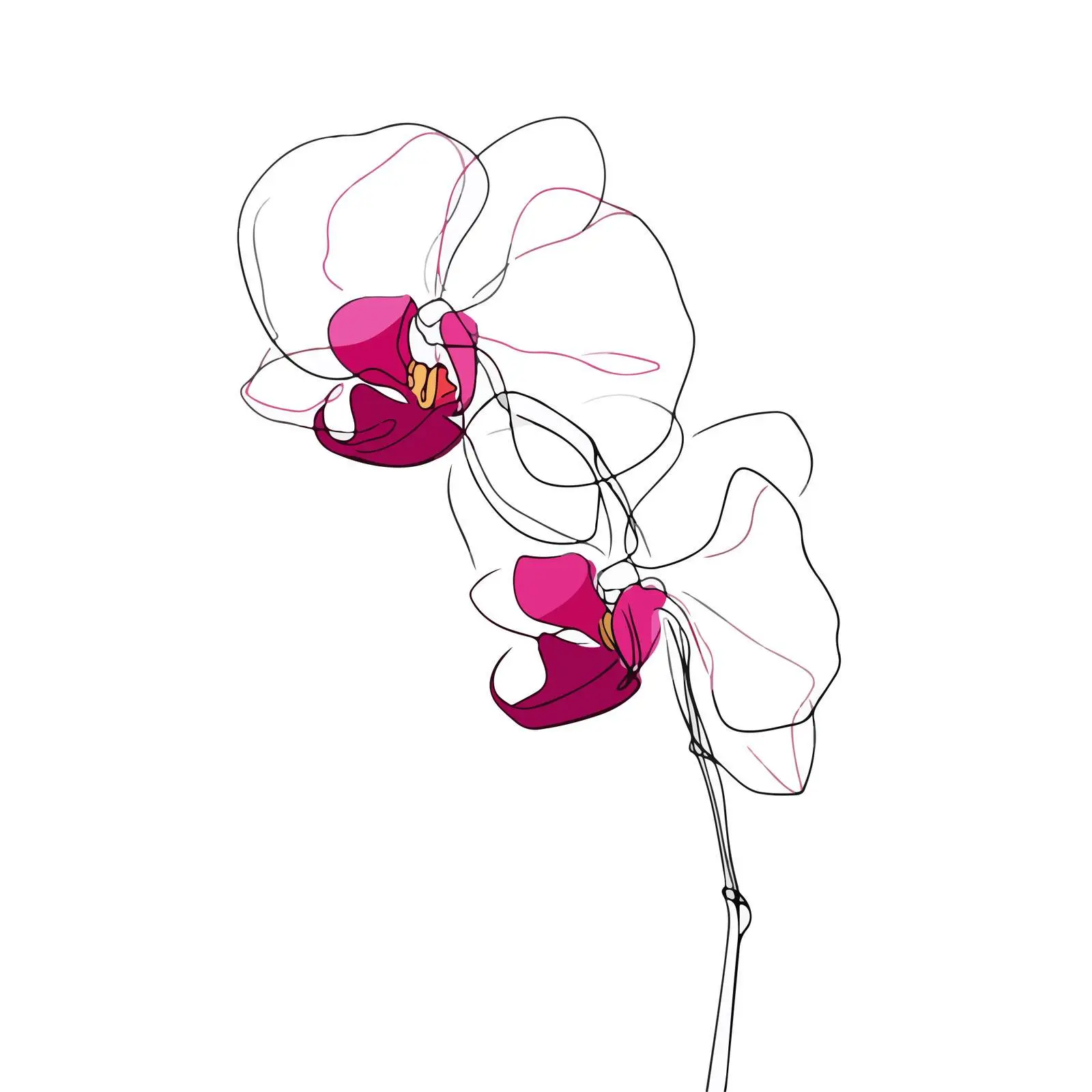 Orchid Line Art — free download from Dotvec