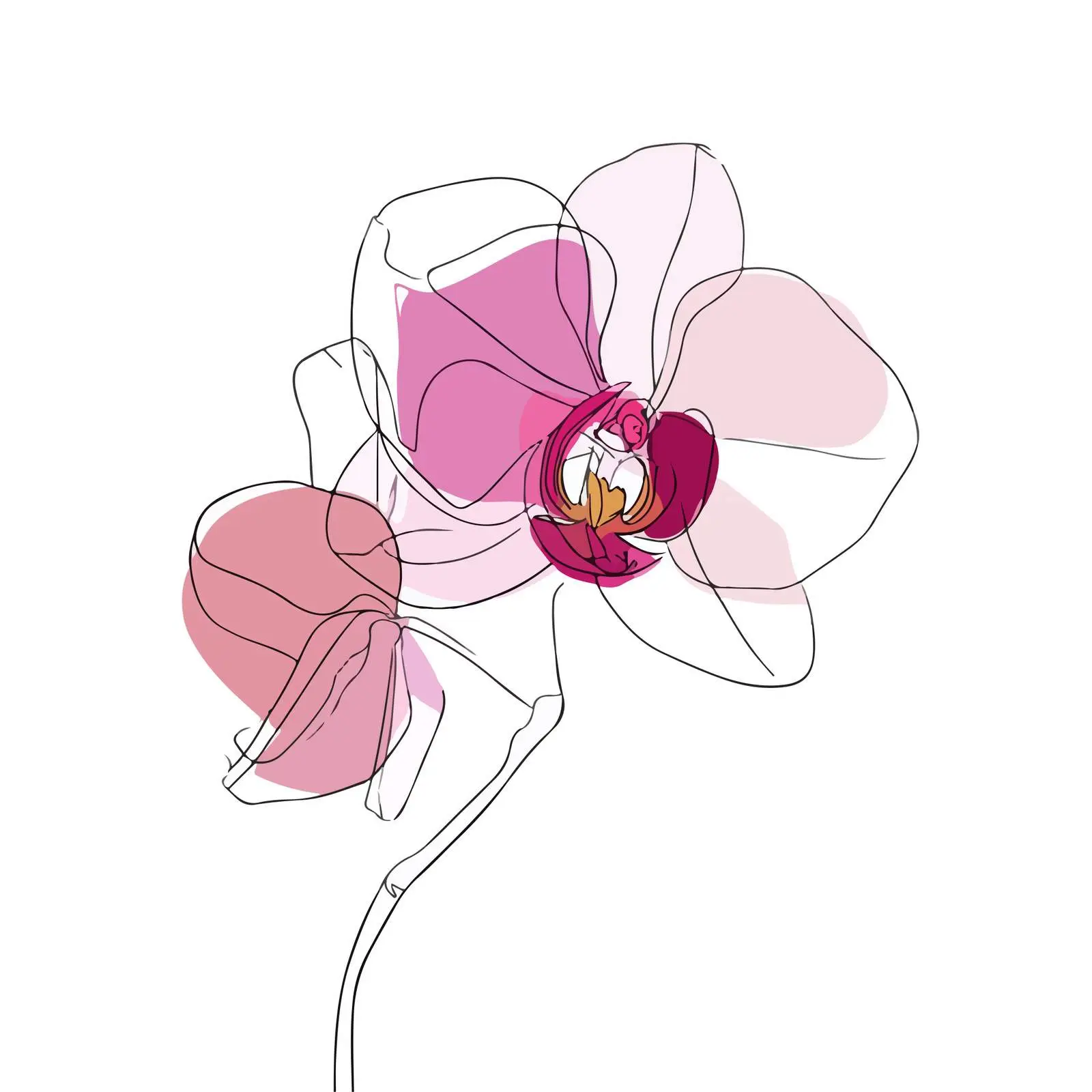 Orchid Line Art Illustration — free download from Dotvec
