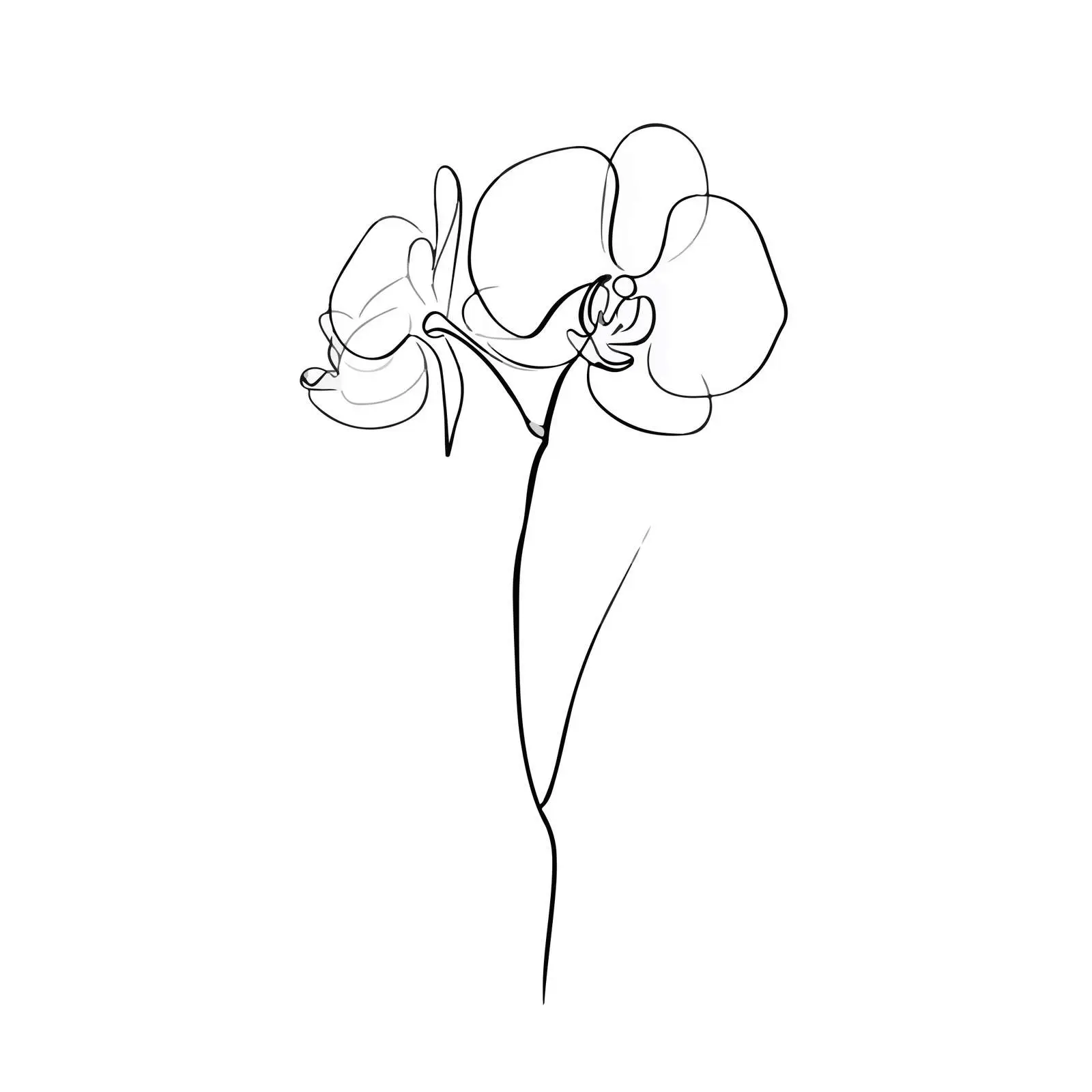 Orchid Line Art — free download from Dotvec