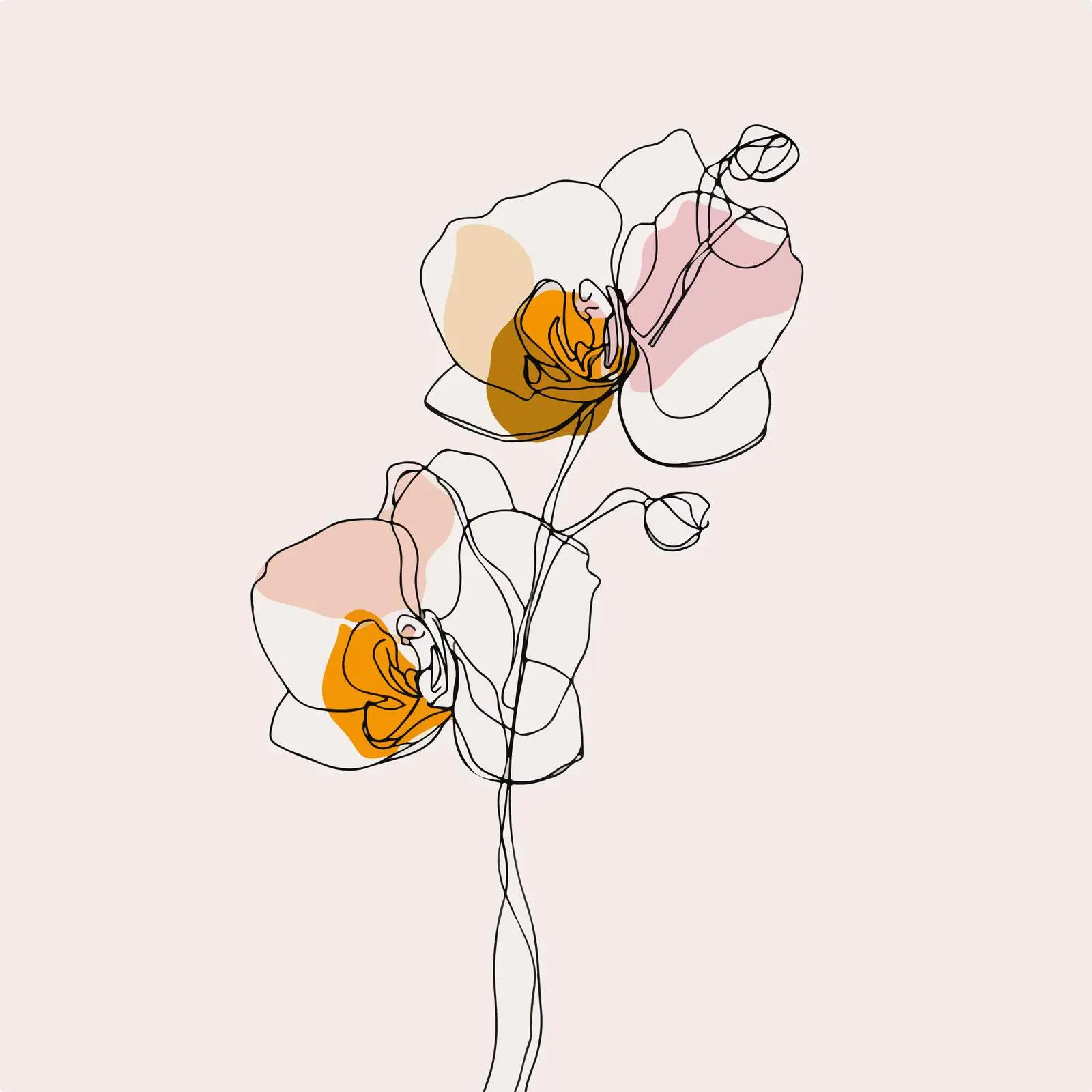 Minimal Orchid Line Art Illustration — free download from Dotvec