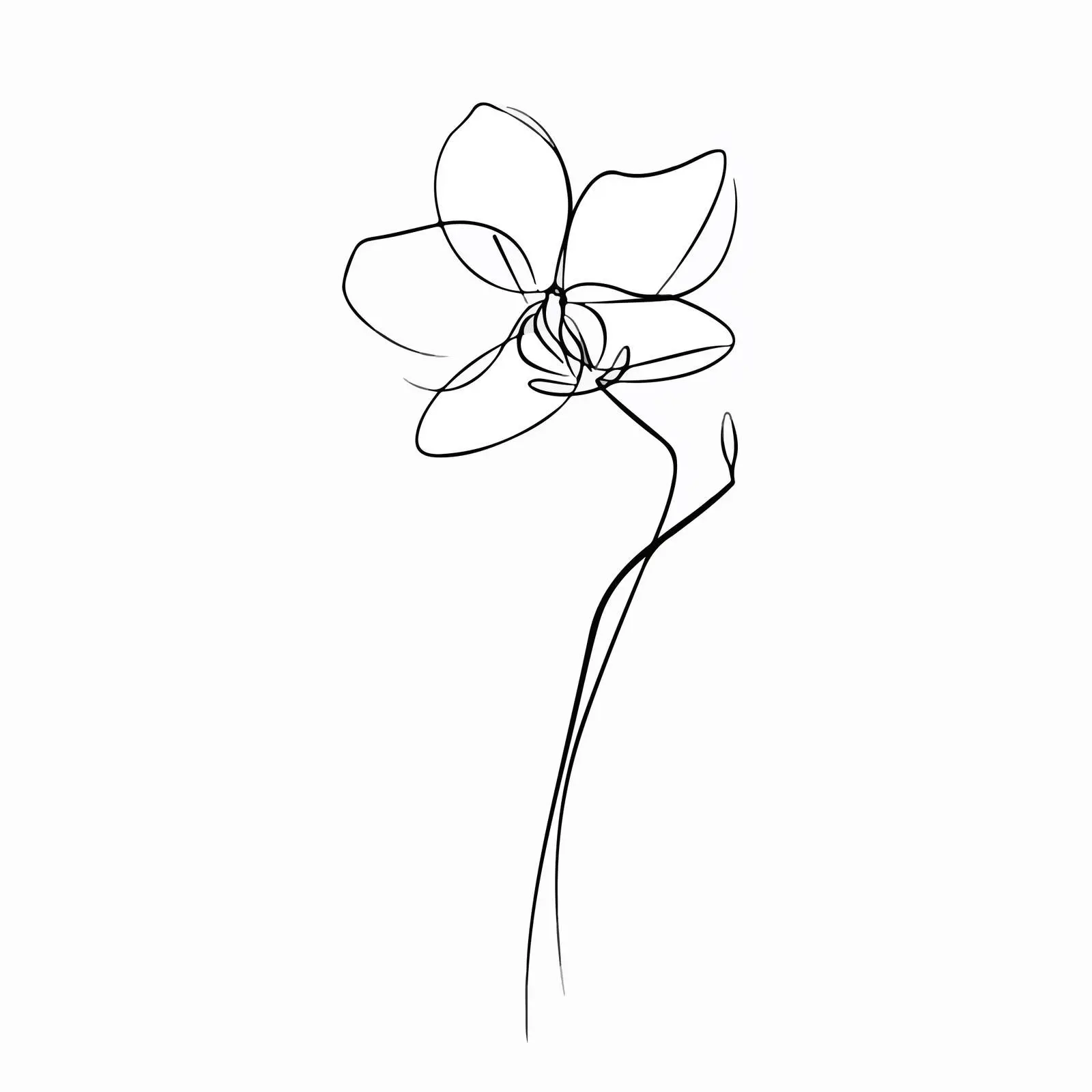 Elegant Orchid Line Art Illustration — free download from Dotvec
