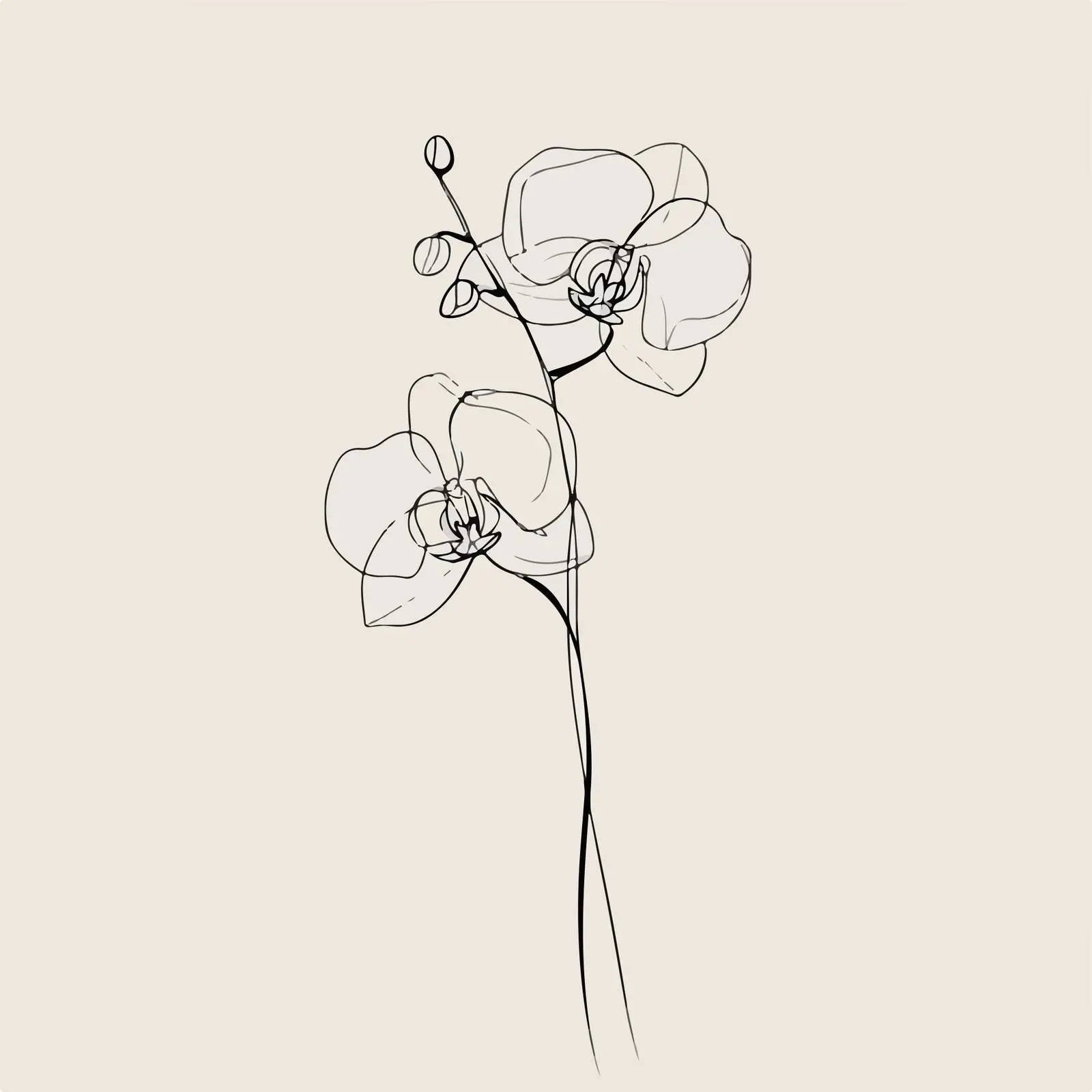 Orchid Continuous Line Art — free download from Dotvec
