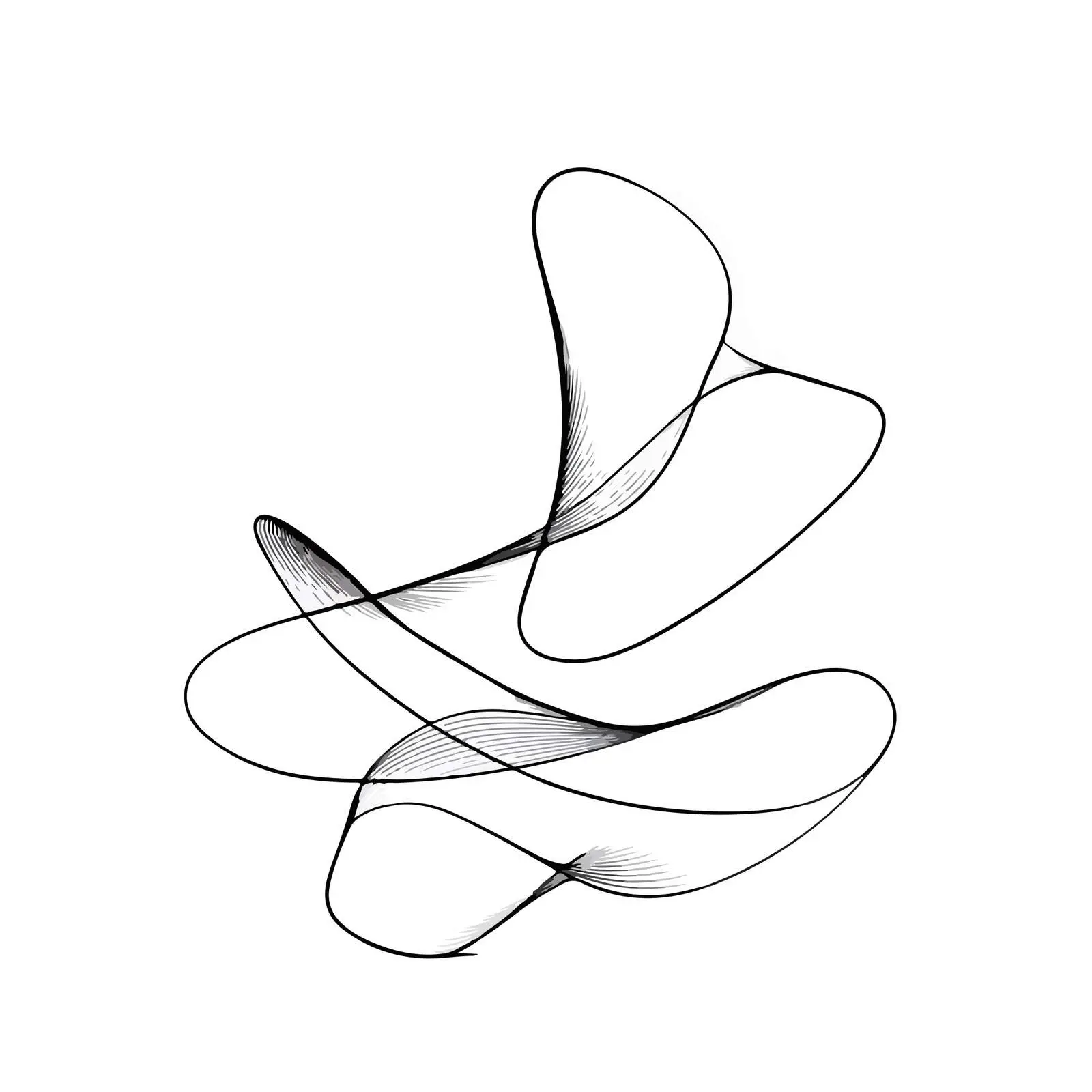Elegant Curved Shapes Flow Artwork — free download from Dotvec