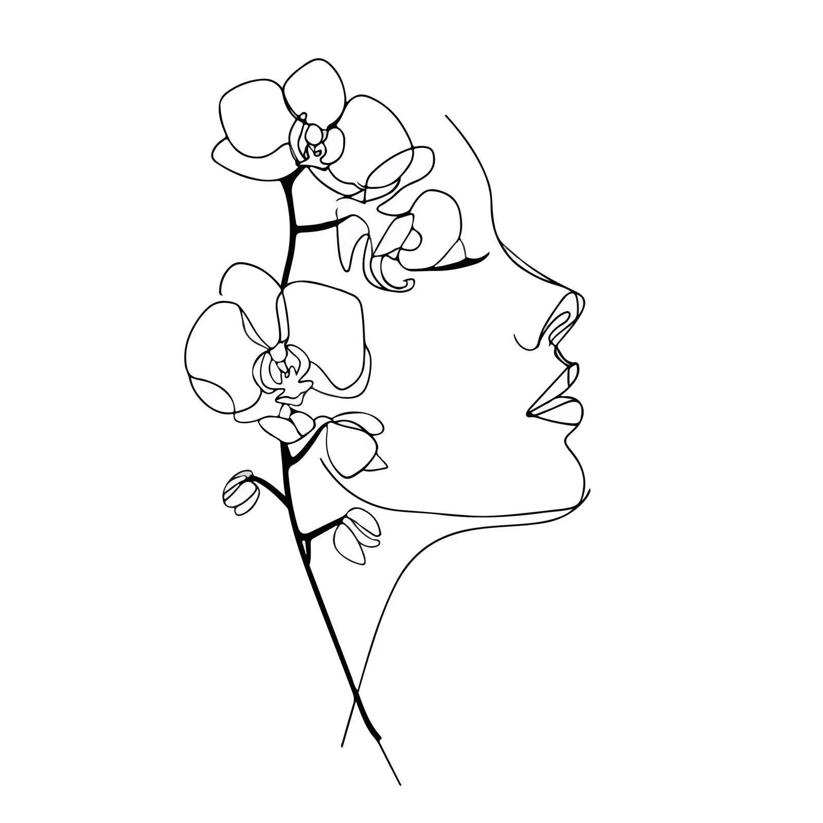 Elegant Orchid Profile Line Art — free download from Dotvec