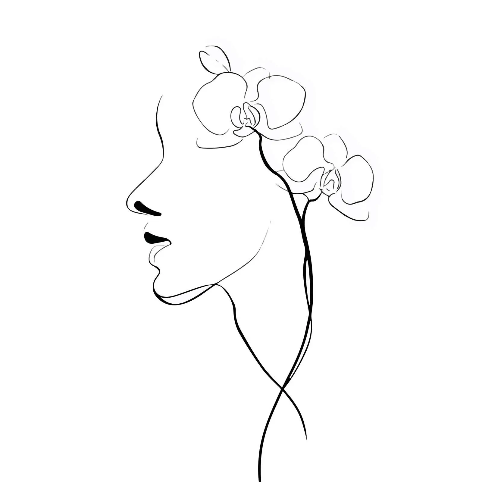 Elegant Orchid Profile Line Art — free download from Dotvec