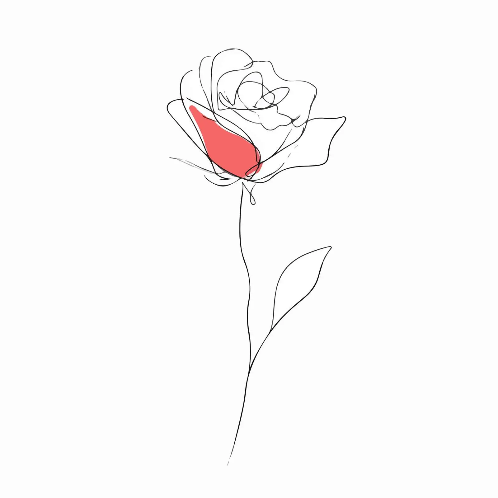 Single Rose Line Art Illustration — free download from Dotvec