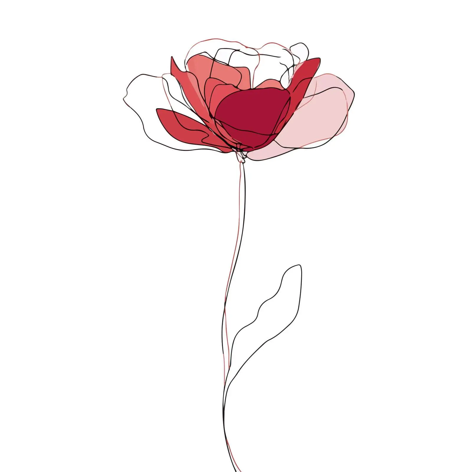 Single Rose Line Art Illustration — free download from Dotvec