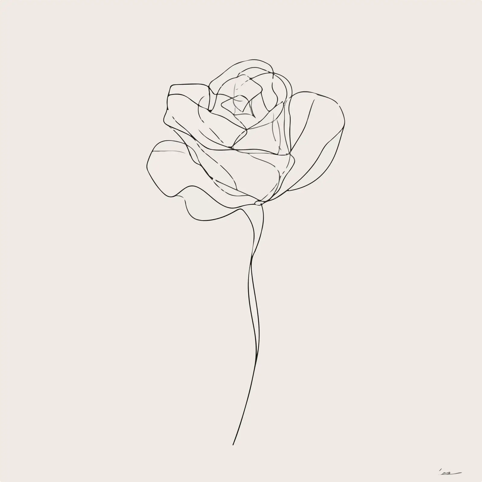 Single Line Art Rose Flower — free download from Dotvec