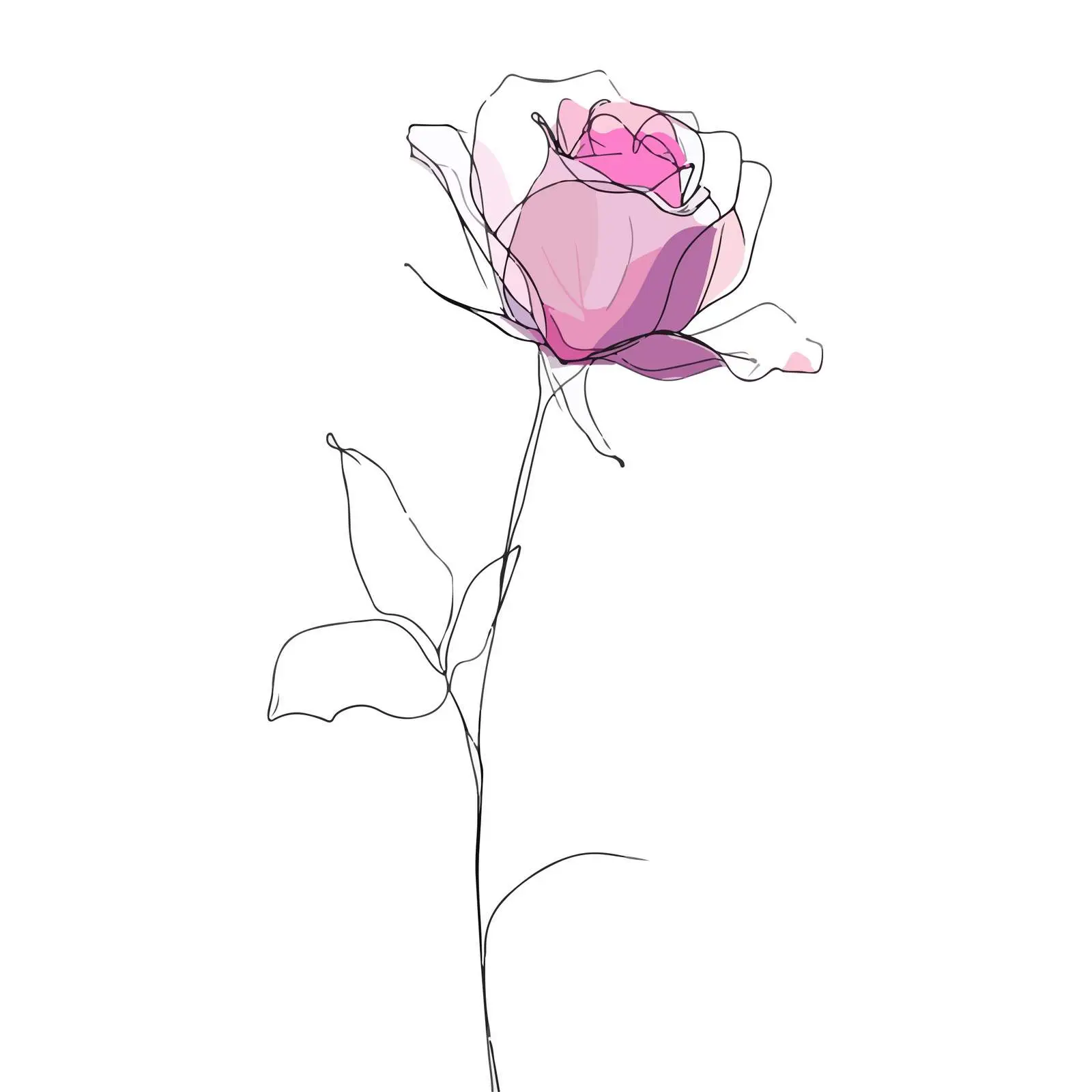 Continuous Line Art Rose Flower Abstract — free download from Dotvec