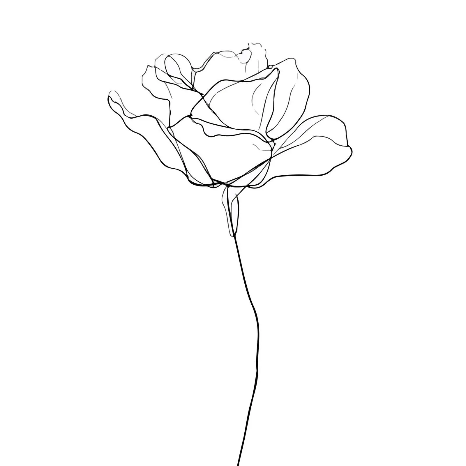 Elegant Rose Line Art Illustration — free download from Dotvec