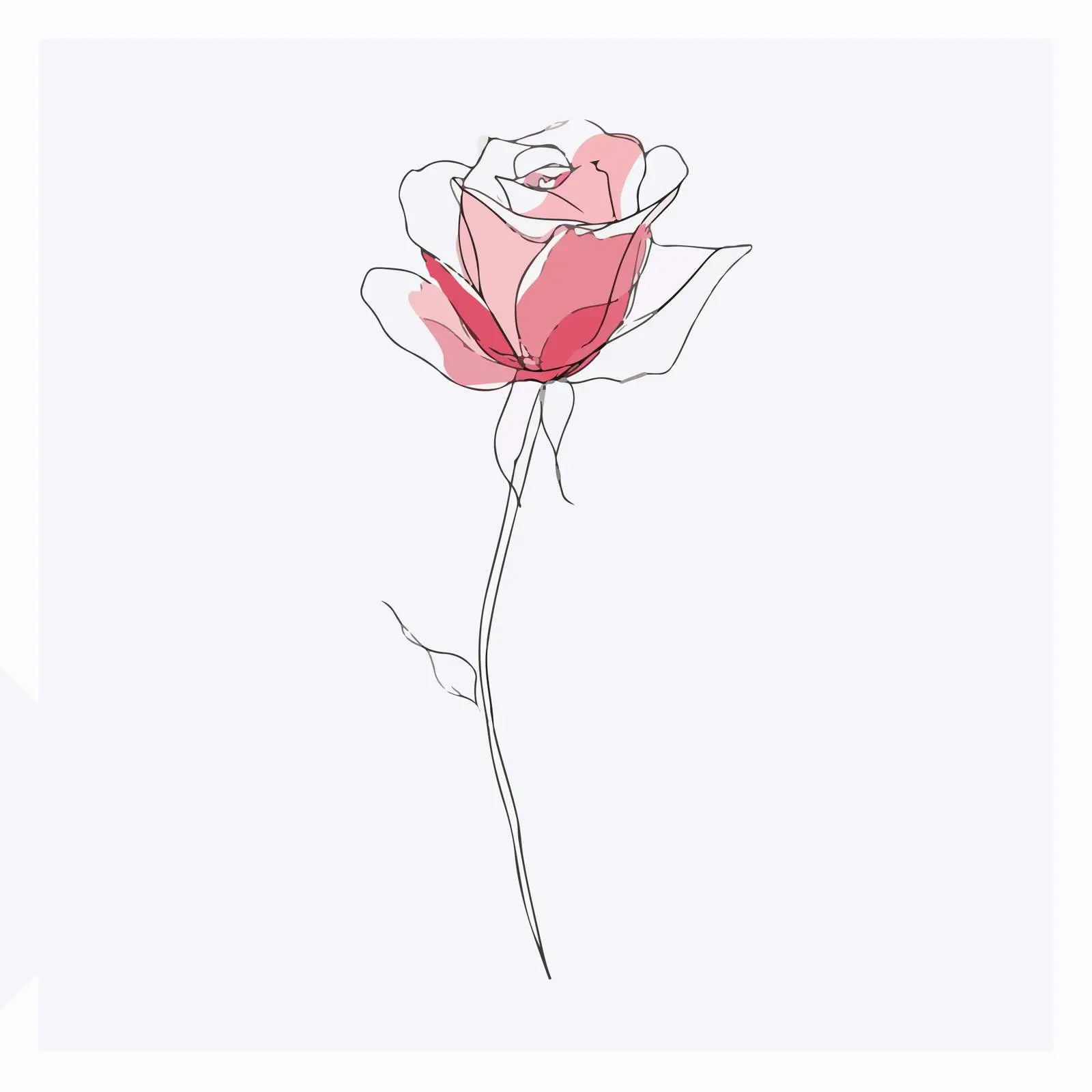 Single Rose Continuous Line Art — free download from Dotvec