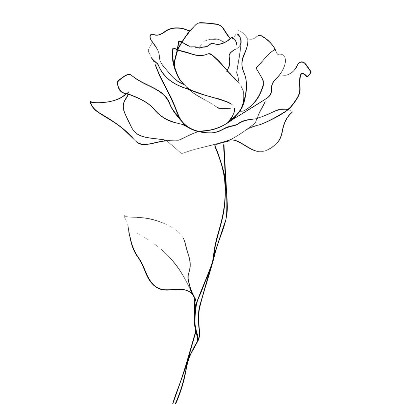 Single Rose Line Art Illustration — free download from Dotvec