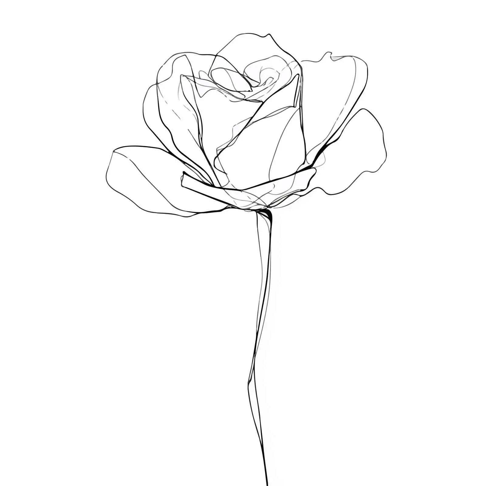 Single Rose Continuous Line Artwork — free download from Dotvec