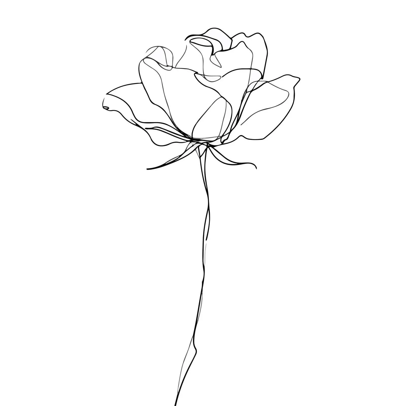 Single Rose Continuous Line Art — free download from Dotvec