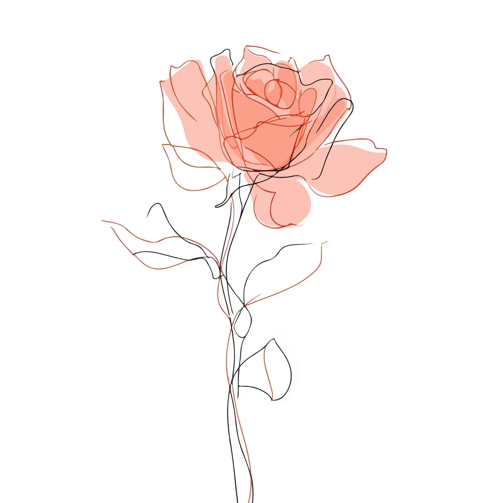 Single Rose Line Art Illustration — free download from Dotvec
