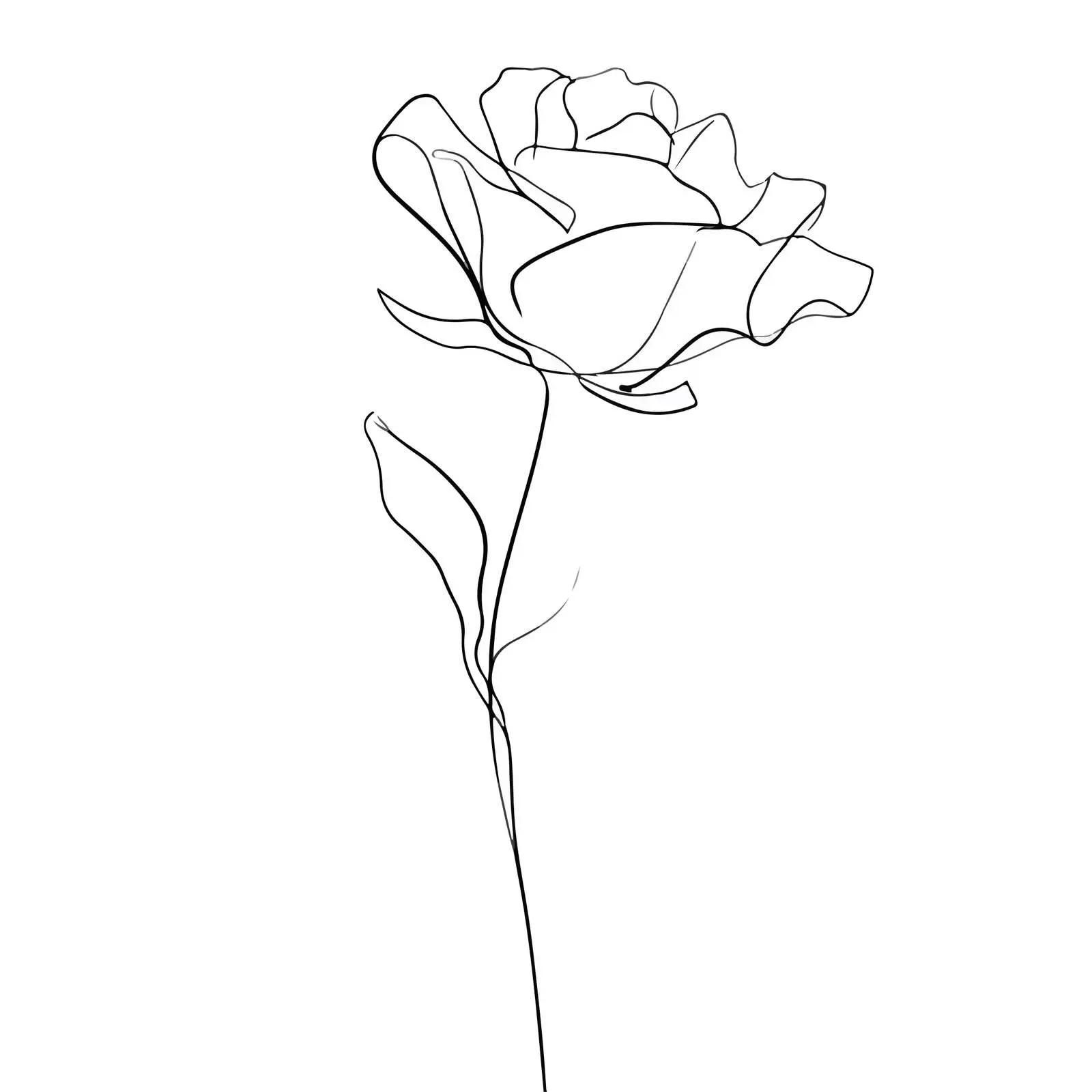 Minimal Rose Line Art Illustration — free download from Dotvec