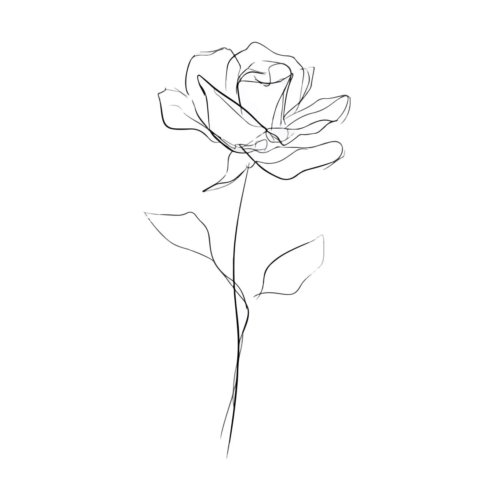 Single Rose Line Art — free download from Dotvec