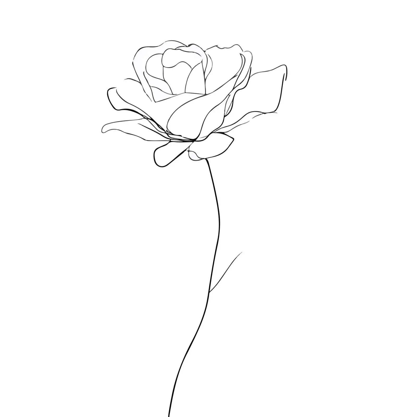 Single Rose Flower Line Art — free download from Dotvec