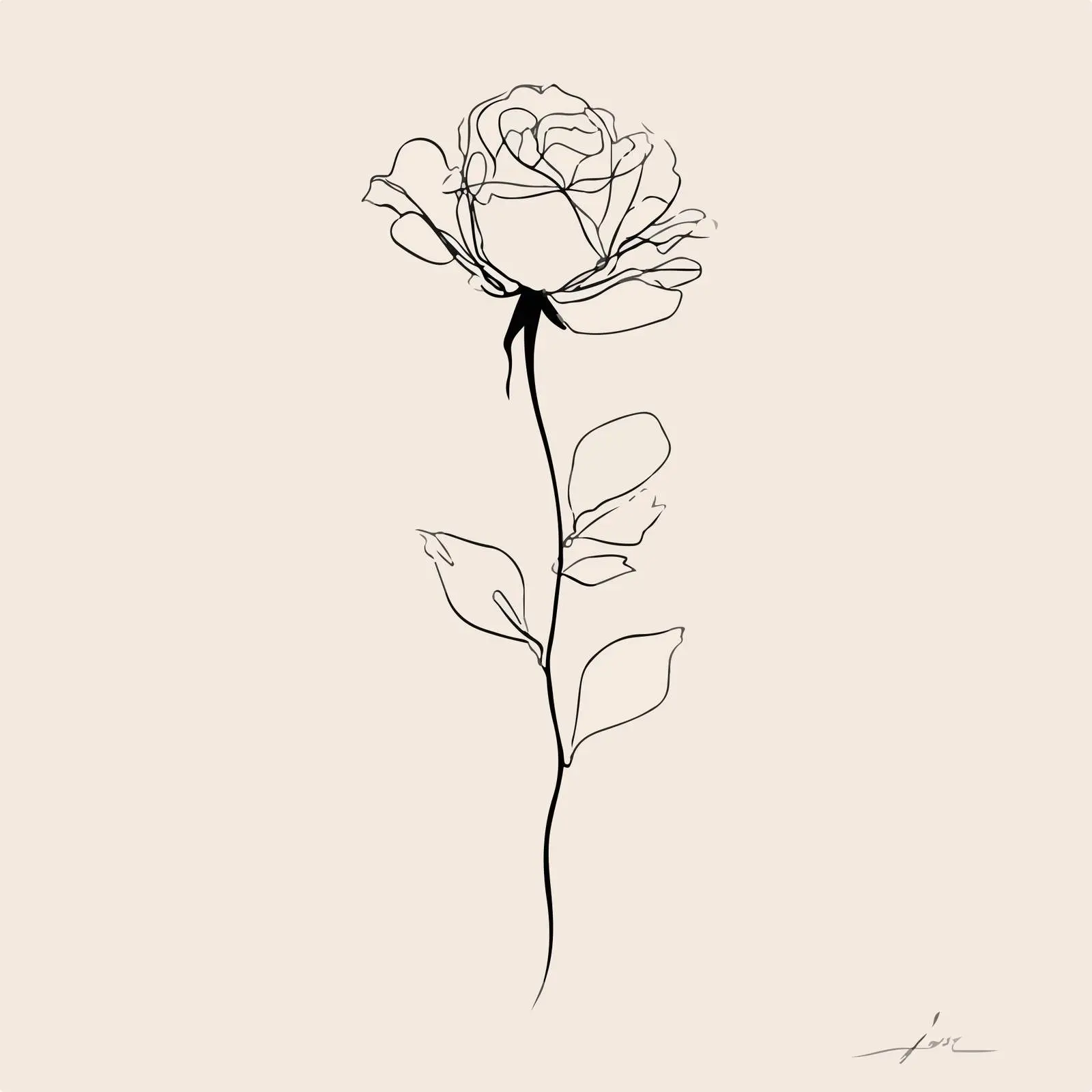 Elegant Rose Line Art Illustration — free download from Dotvec