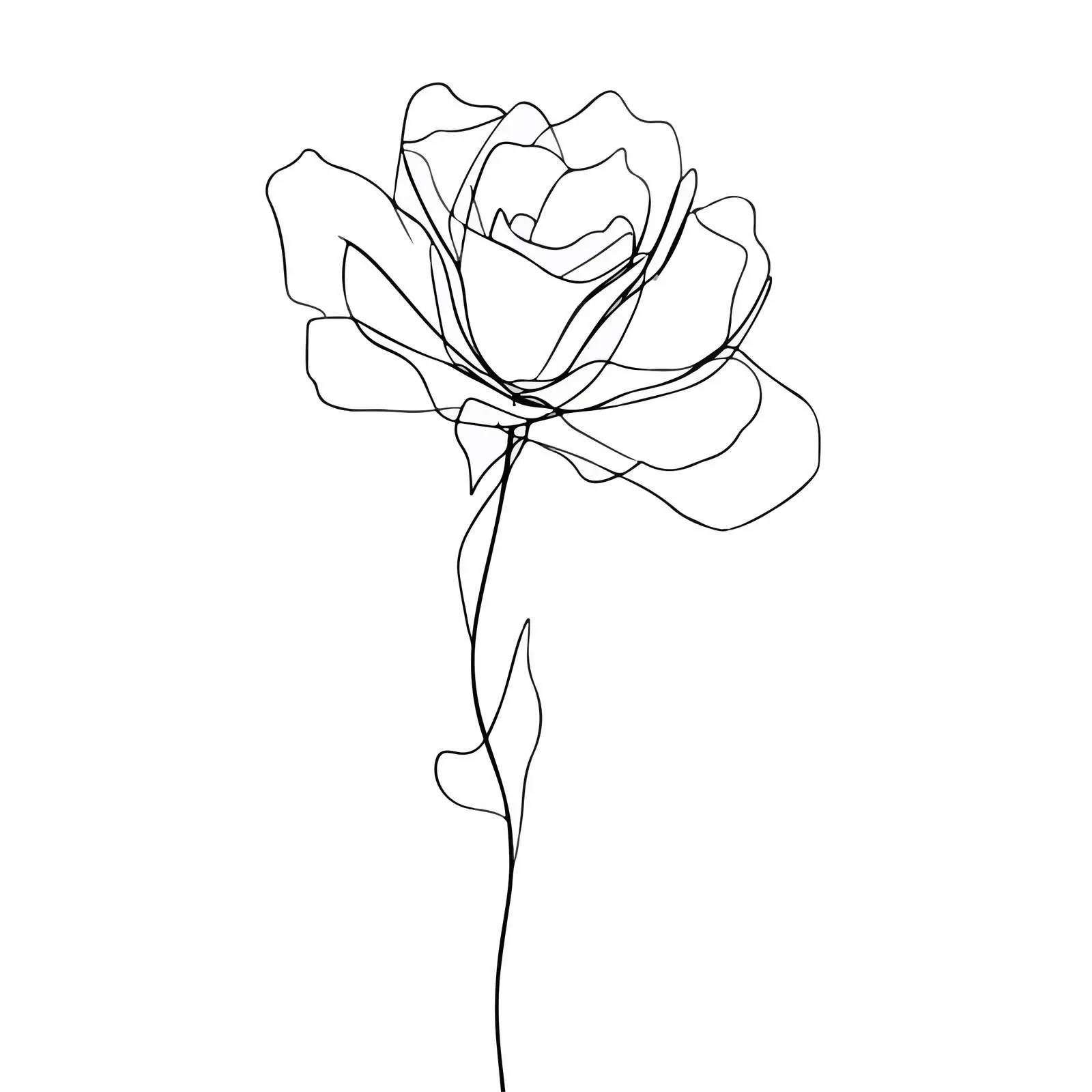 Minimal Rose Line Art Illustration — free download from Dotvec