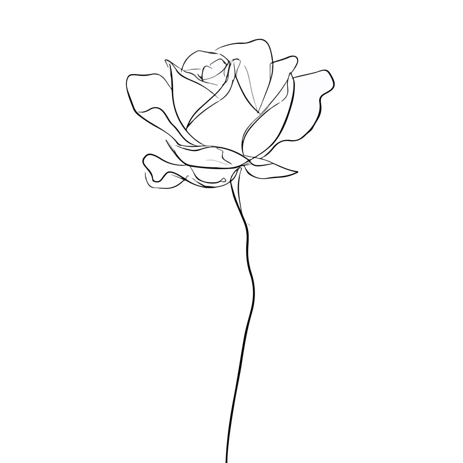 Elegant Rose Line Art — free download from Dotvec