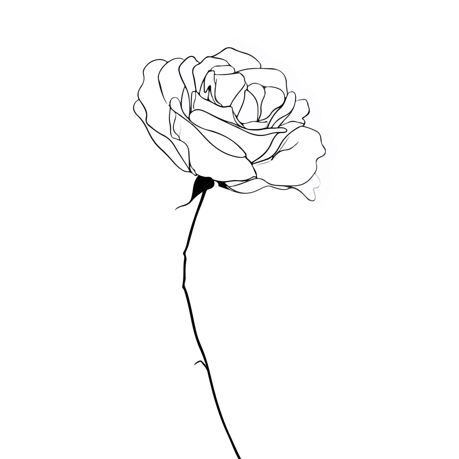 Elegant Rose Line Art Illustration — free download from Dotvec