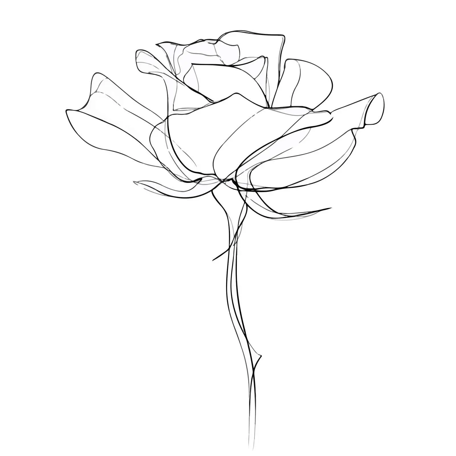 Single Rose Continuous Line Art — free download from Dotvec