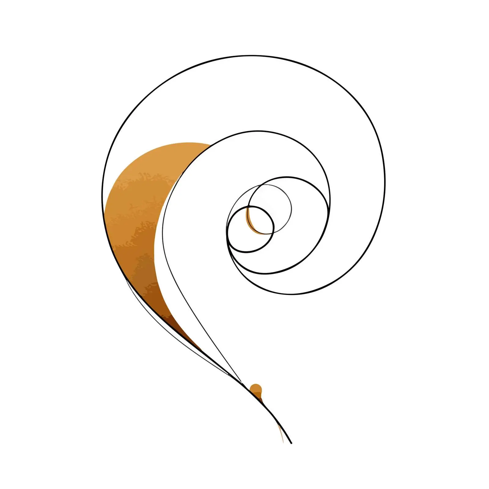 Spiral Line Art Illustration — free download from Dotvec
