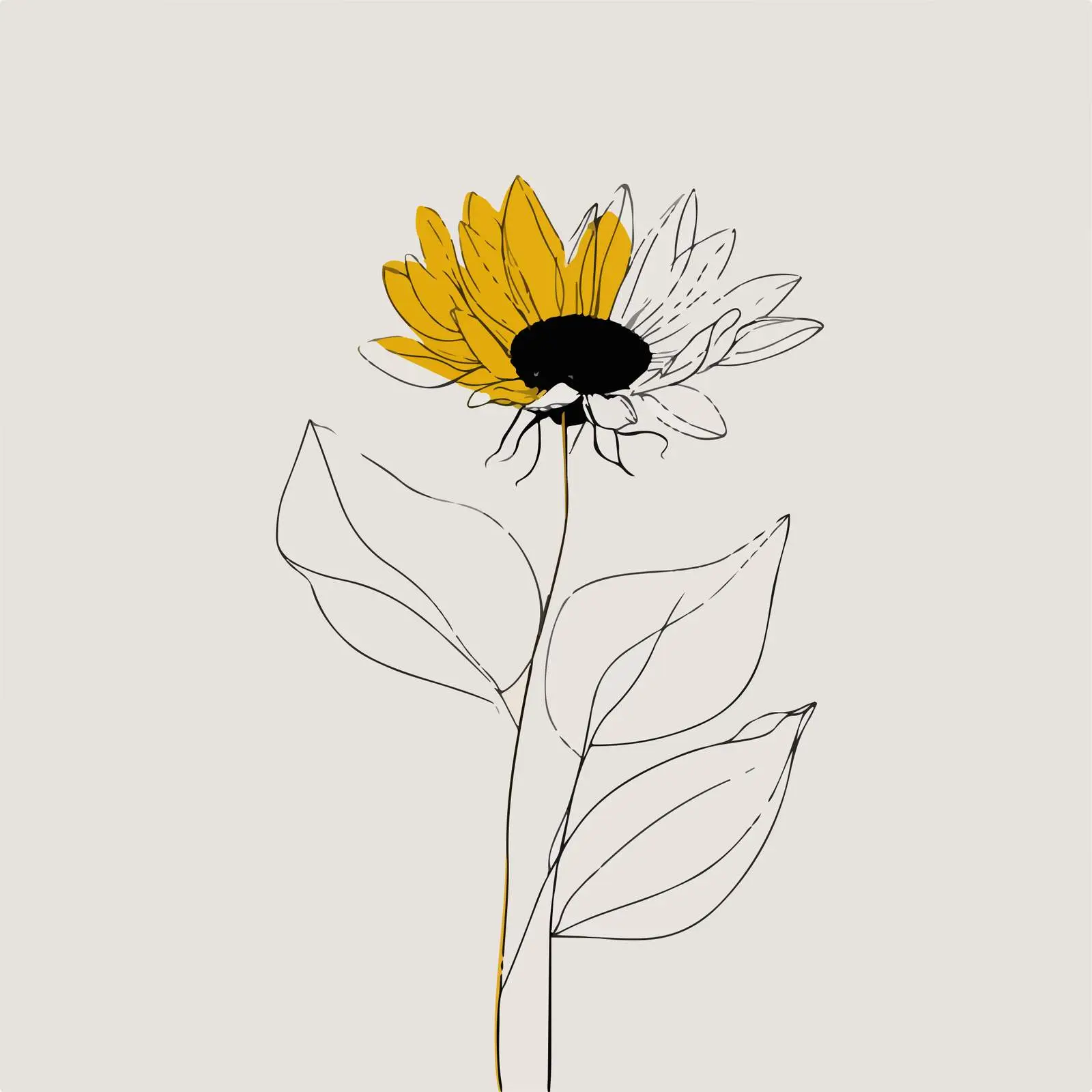 Sunflower Line Art — free download from Dotvec