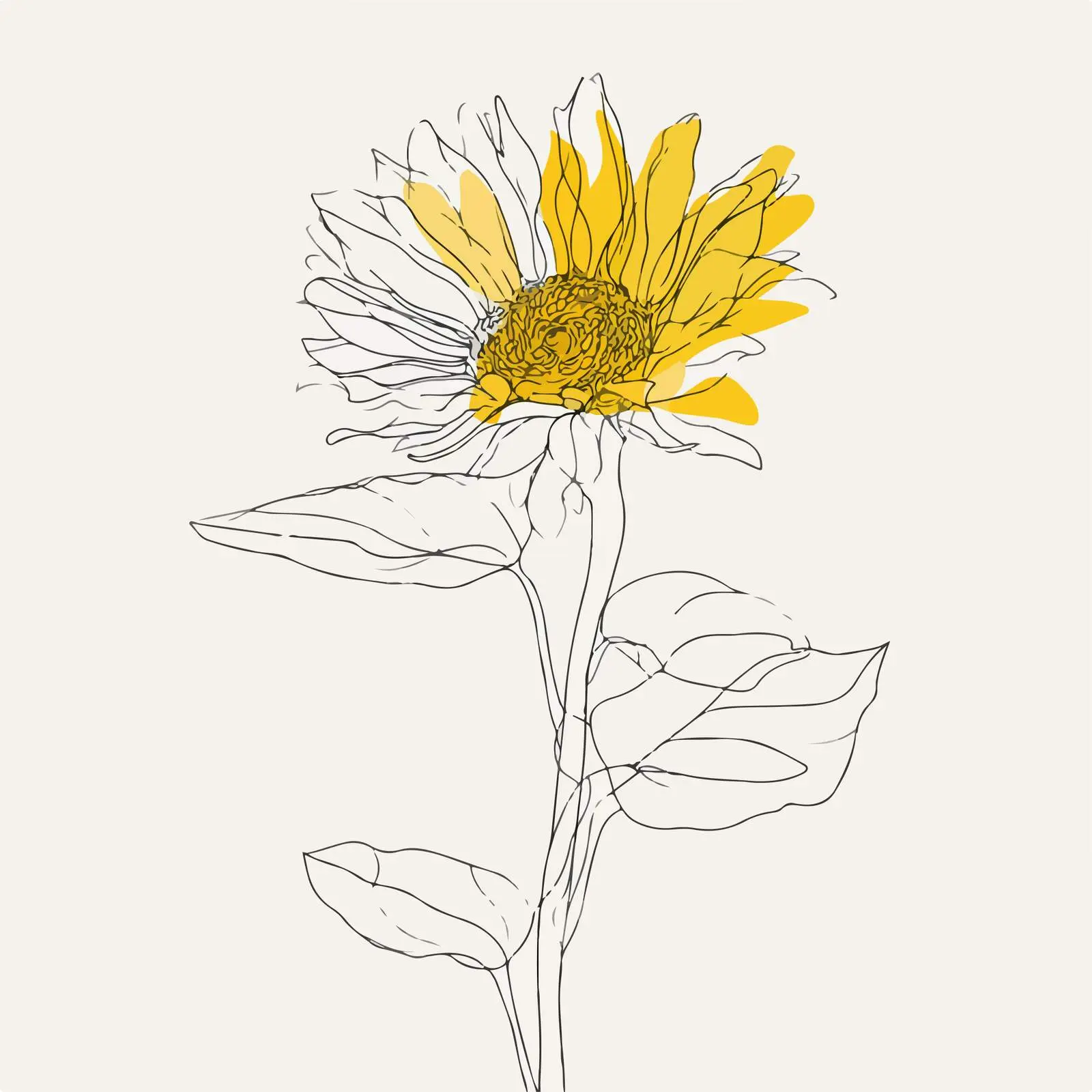 Sunflower Continuous Line Art — free download from Dotvec