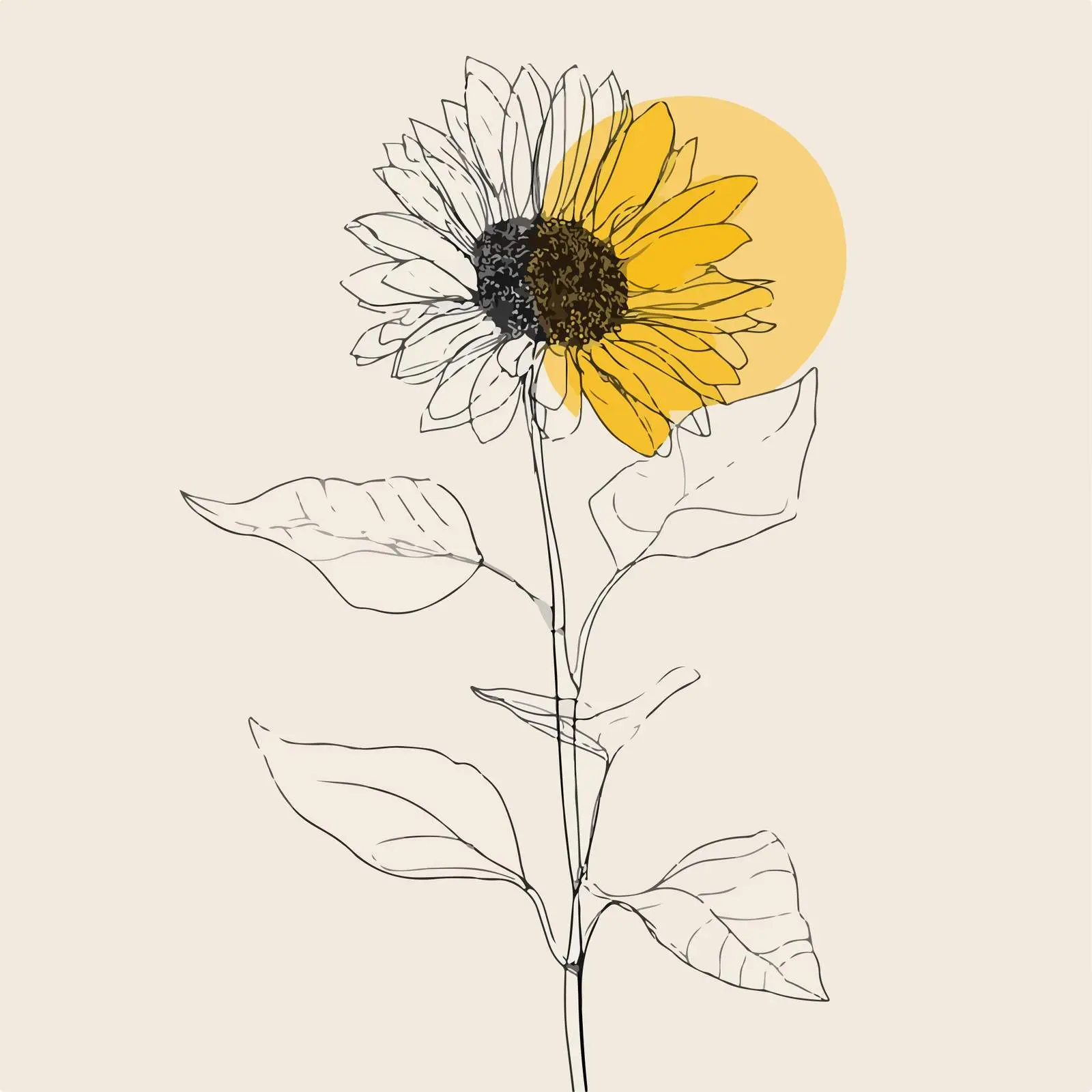 Sunflower Line Art Illustration — free download from Dotvec