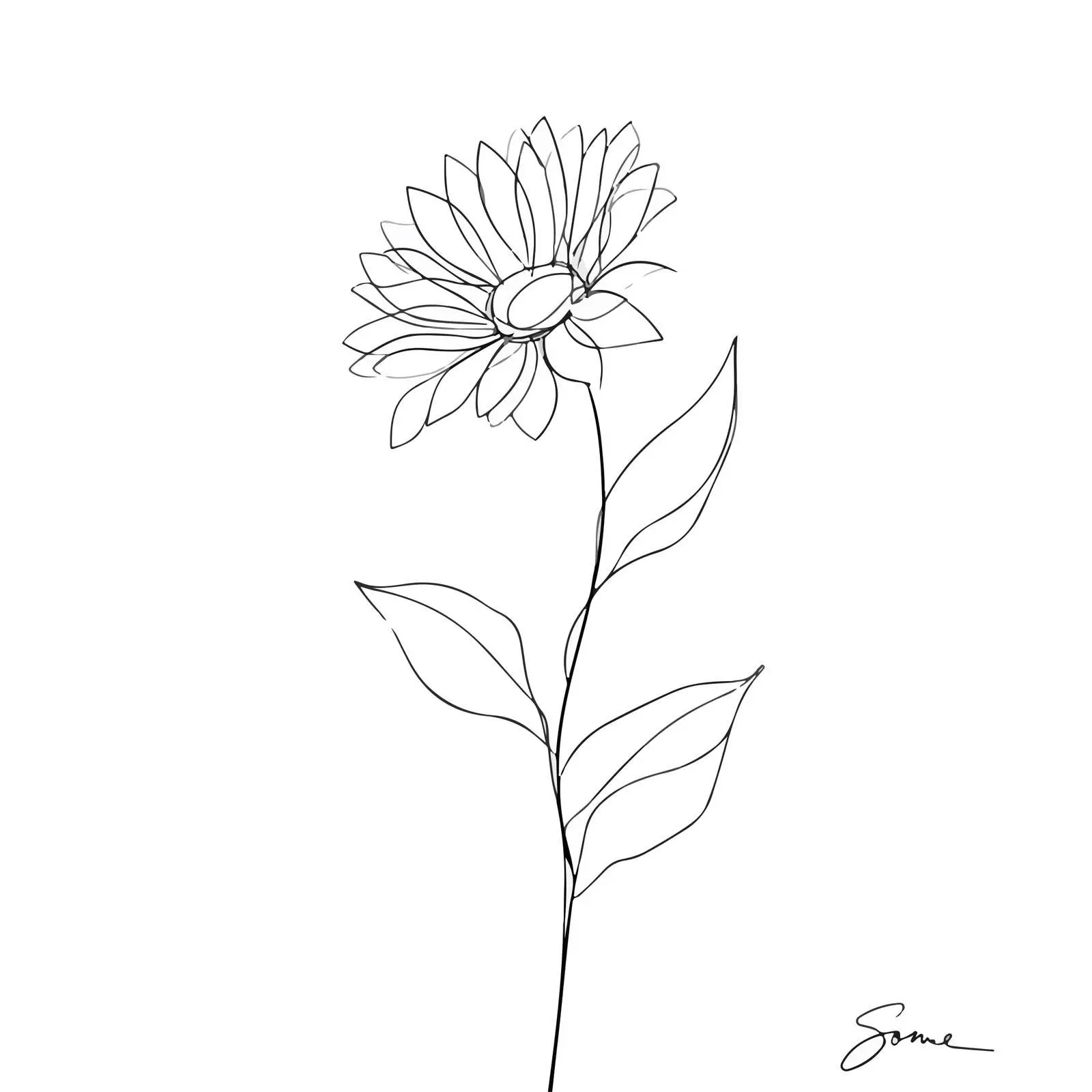 Sunflower Line Art with Flowing Leaves — free download from Dotvec