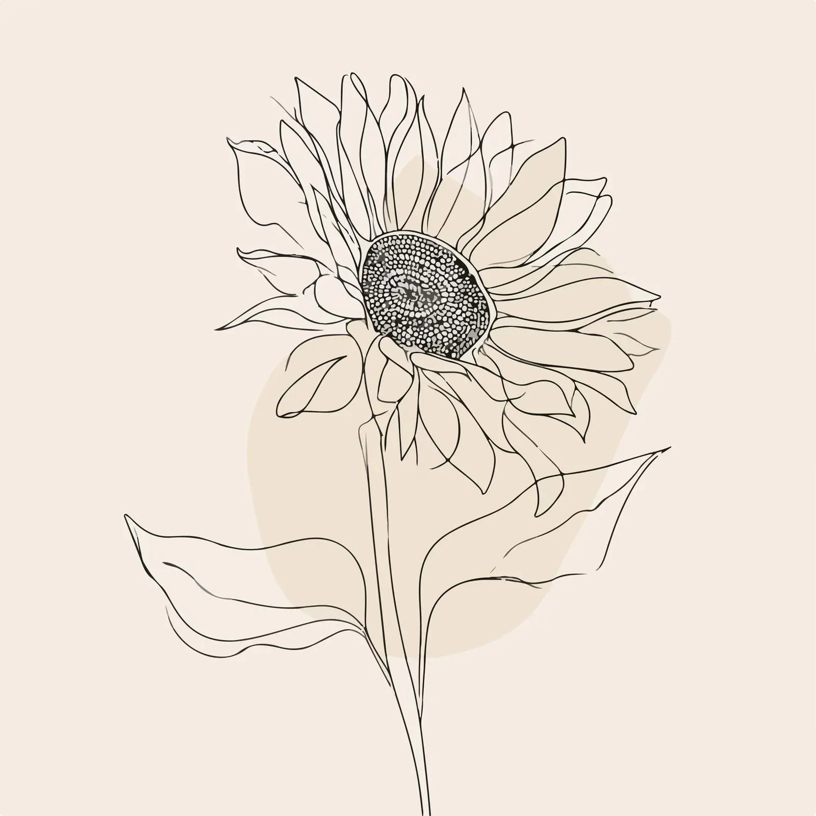 Sunflower Line Art Illustration — free download from Dotvec
