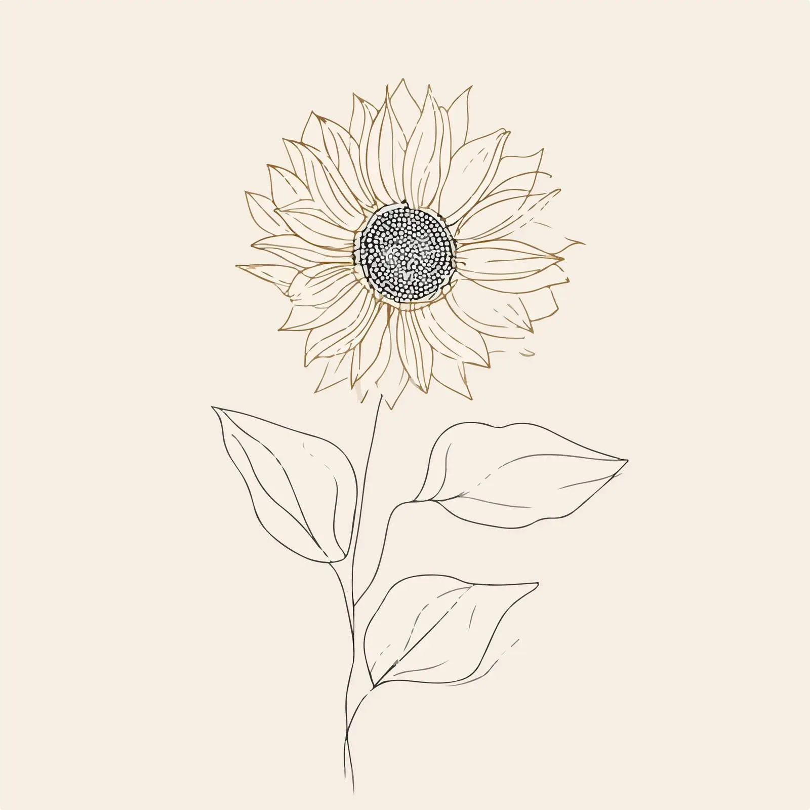 Sunflower Line Art — free download from Dotvec