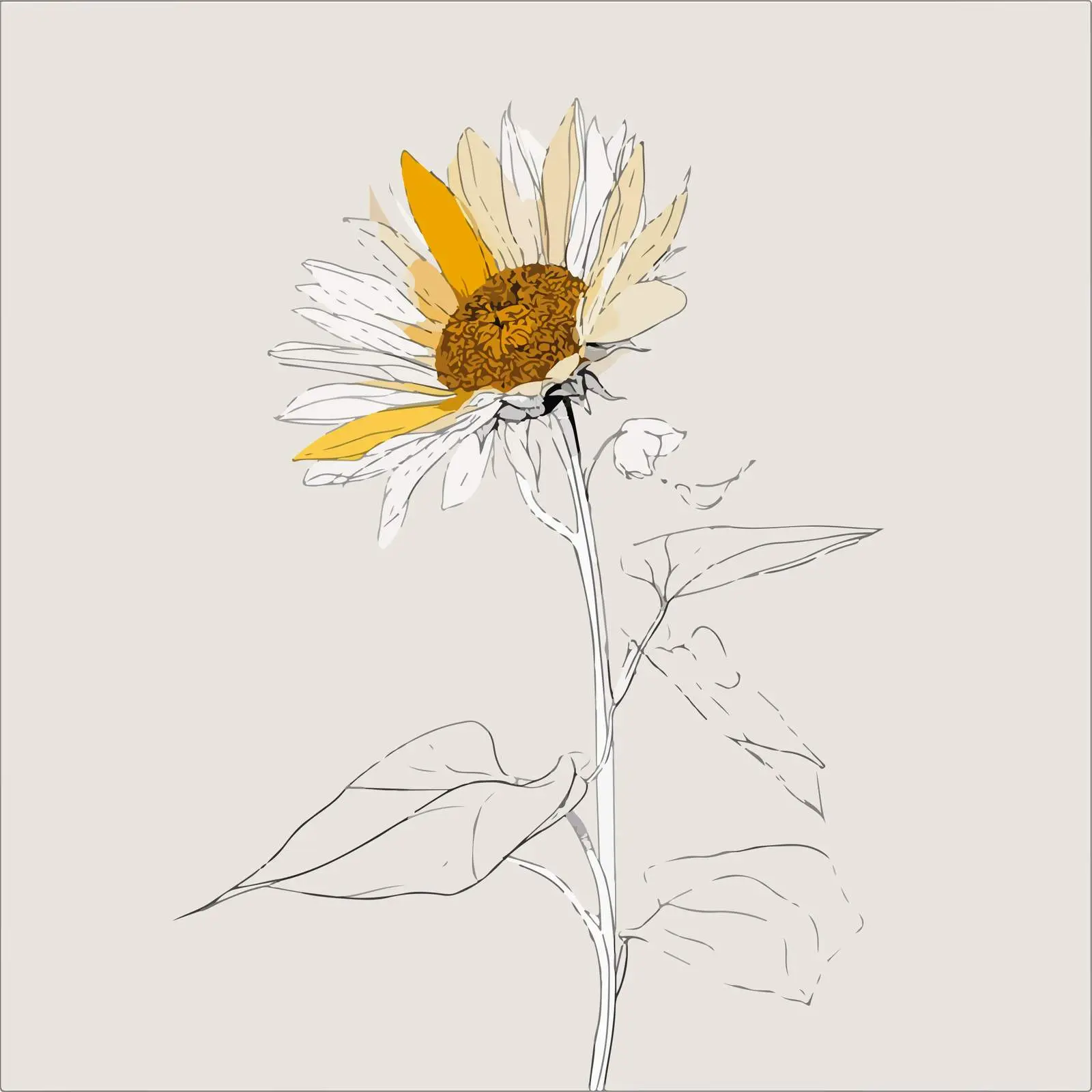 Sunflower Line Art Illustration — free download from Dotvec